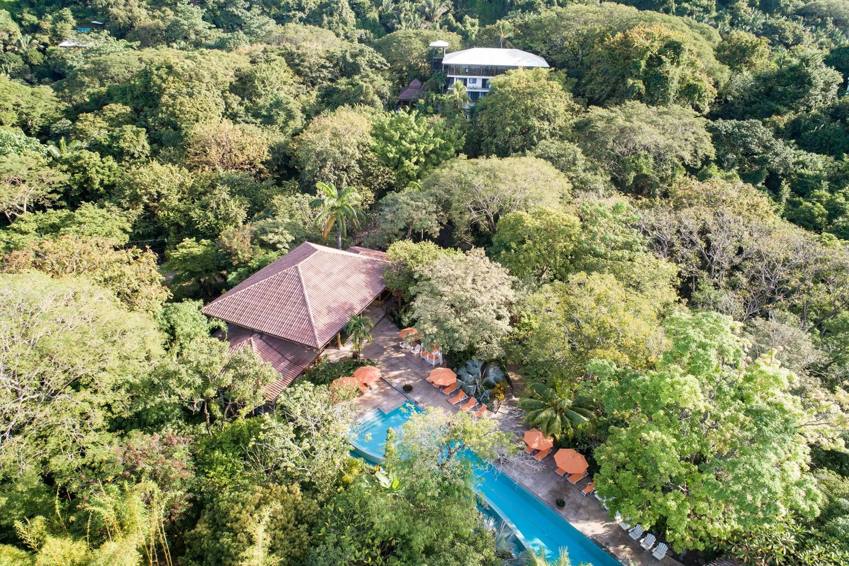 Bird's eye view in Bodhi Tree Yoga Resort