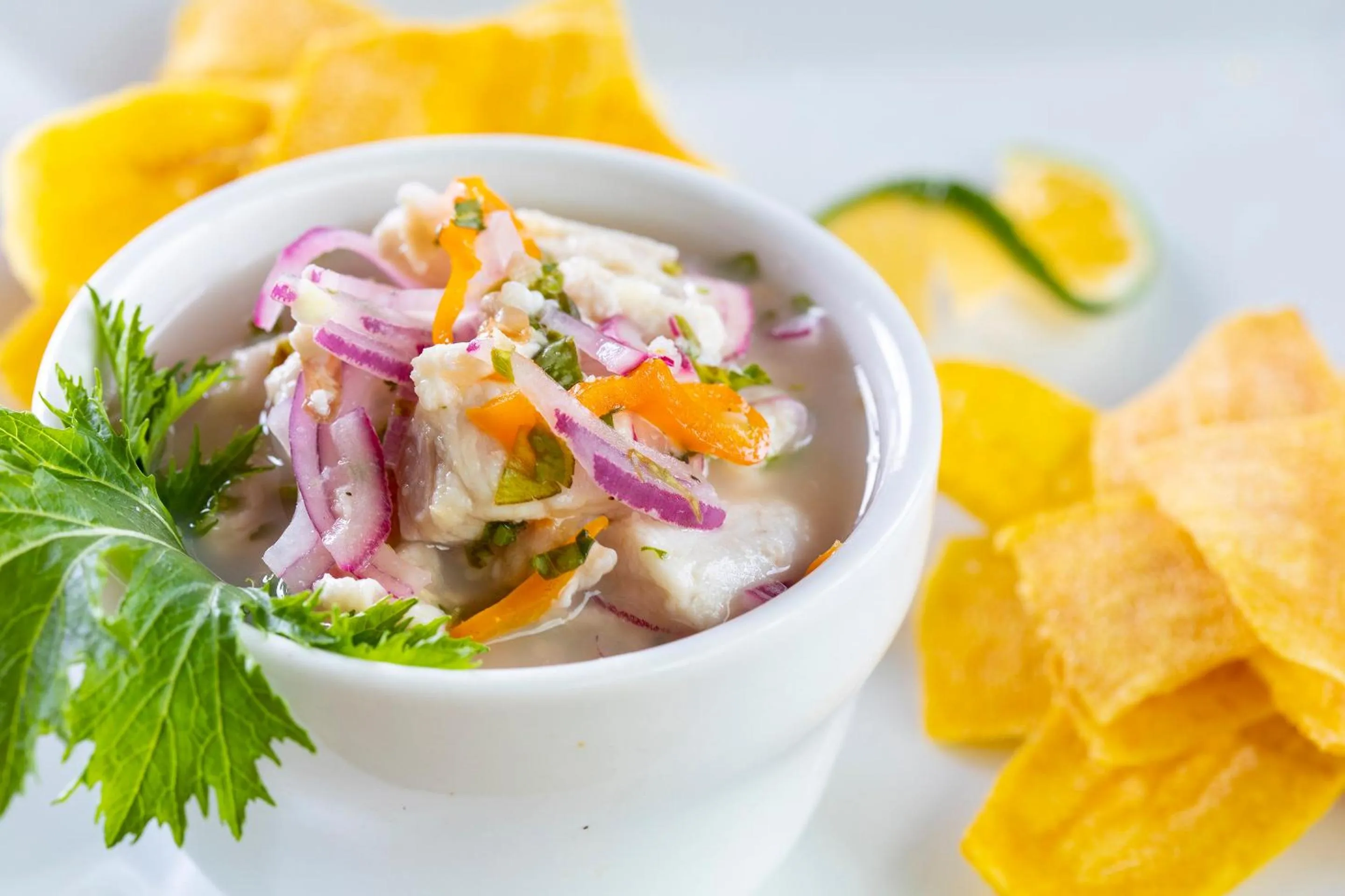 Food in Bodhi Tree Yoga Resort