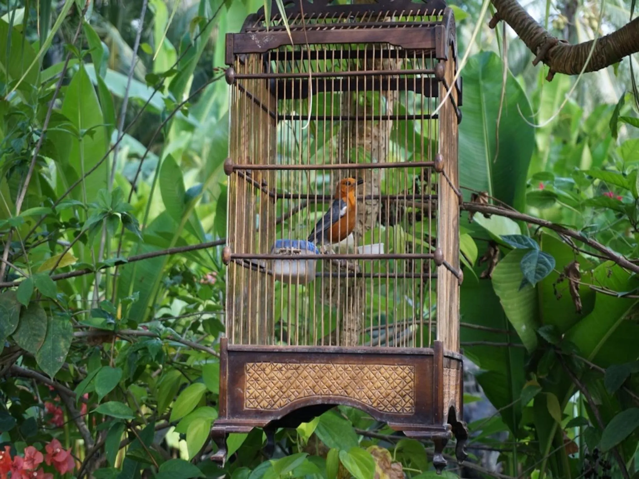 On site in Kura Kura Villas & Candidasa Mini Golf