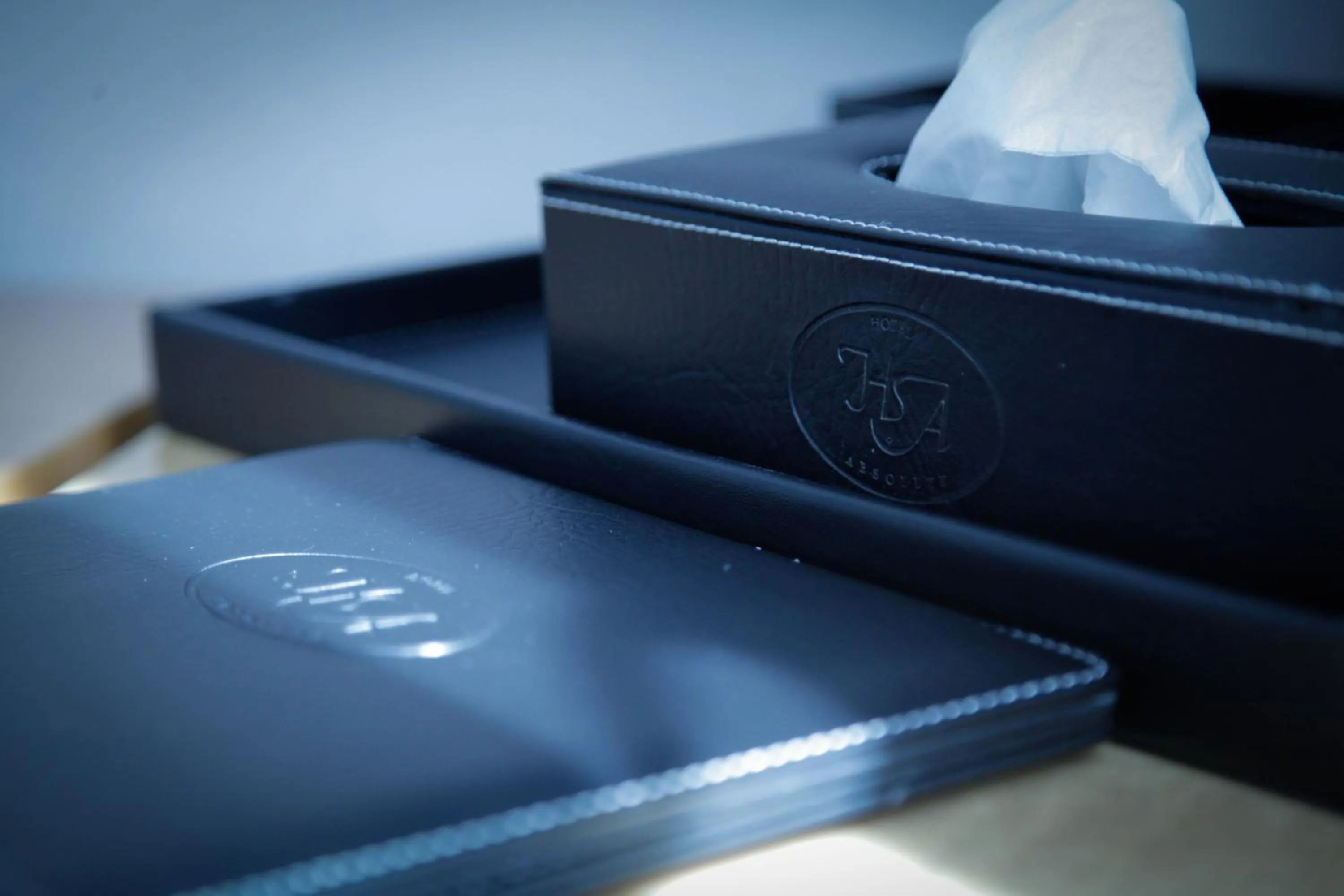 Decorative detail in Absolute Hotel