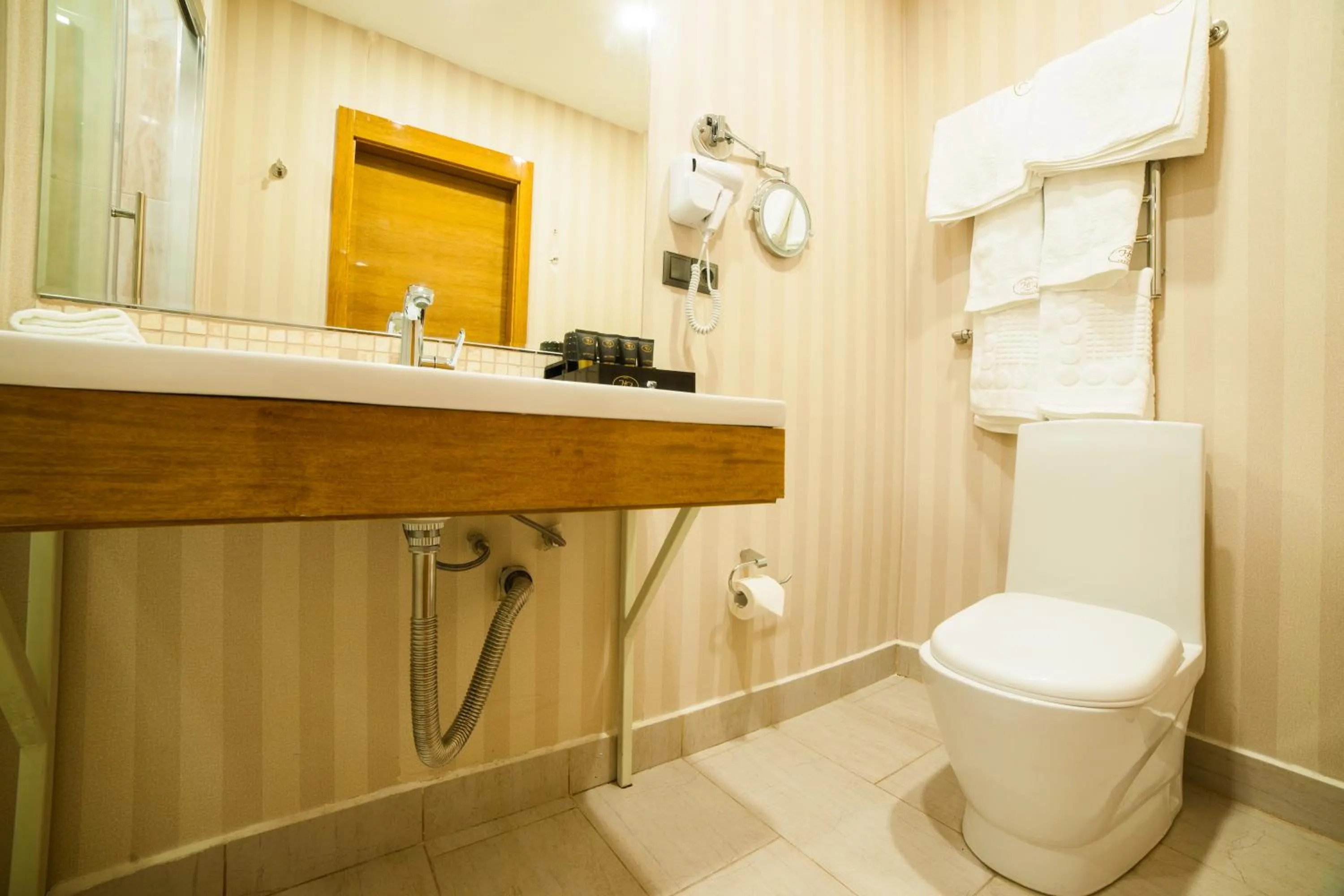 Shower in Absolute Hotel