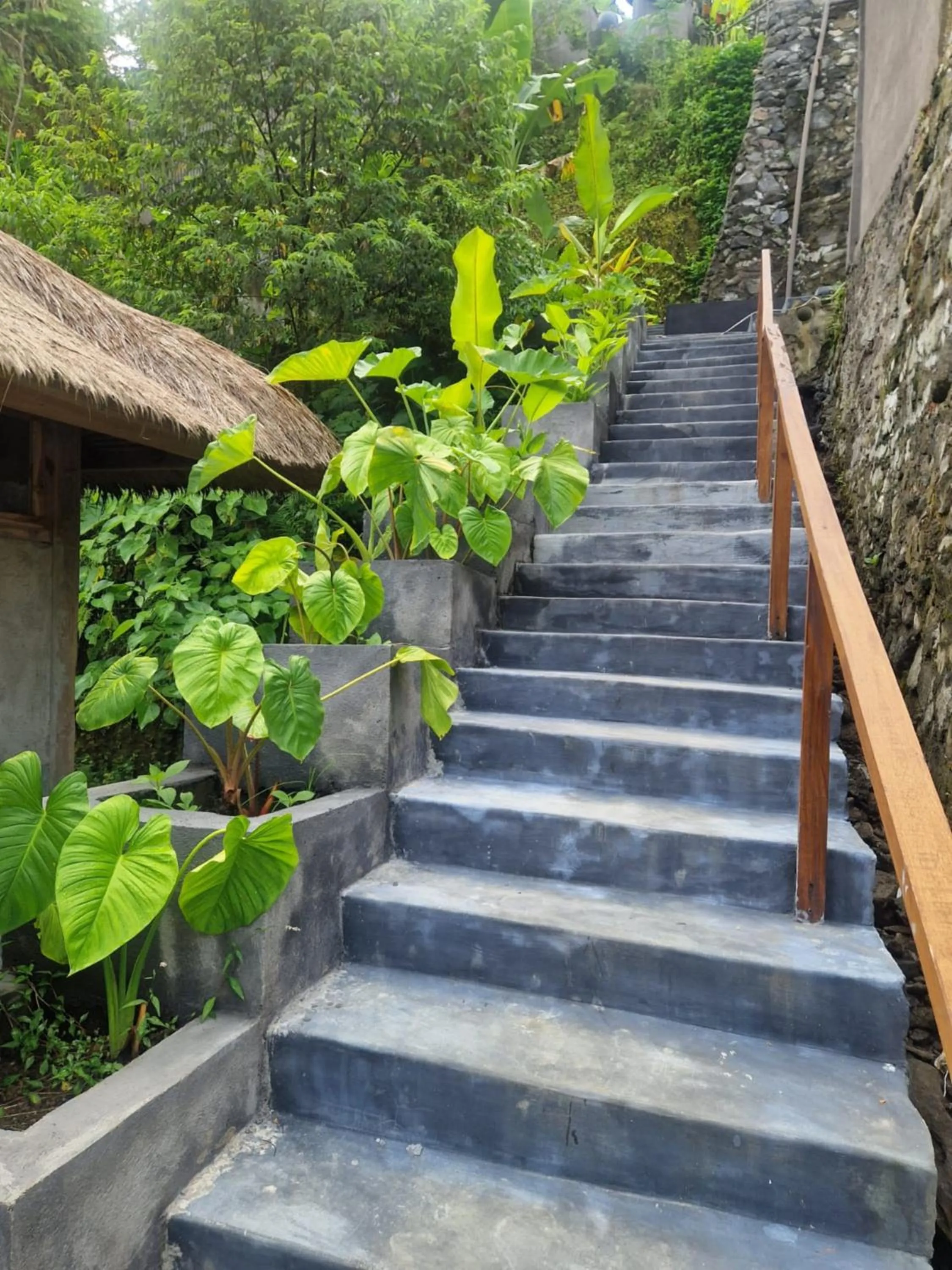 Garden in Muraya Villas in Ubud