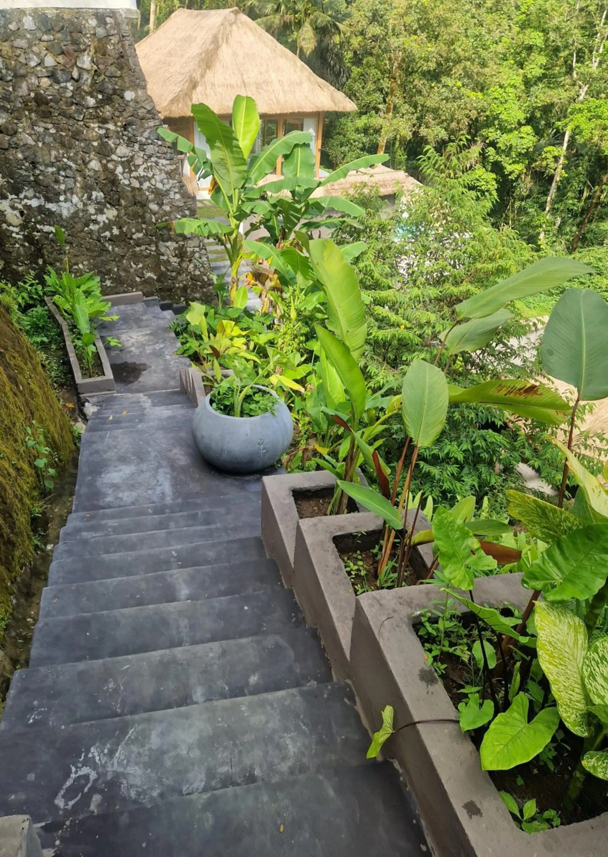 Garden view in Muraya Villas in Ubud