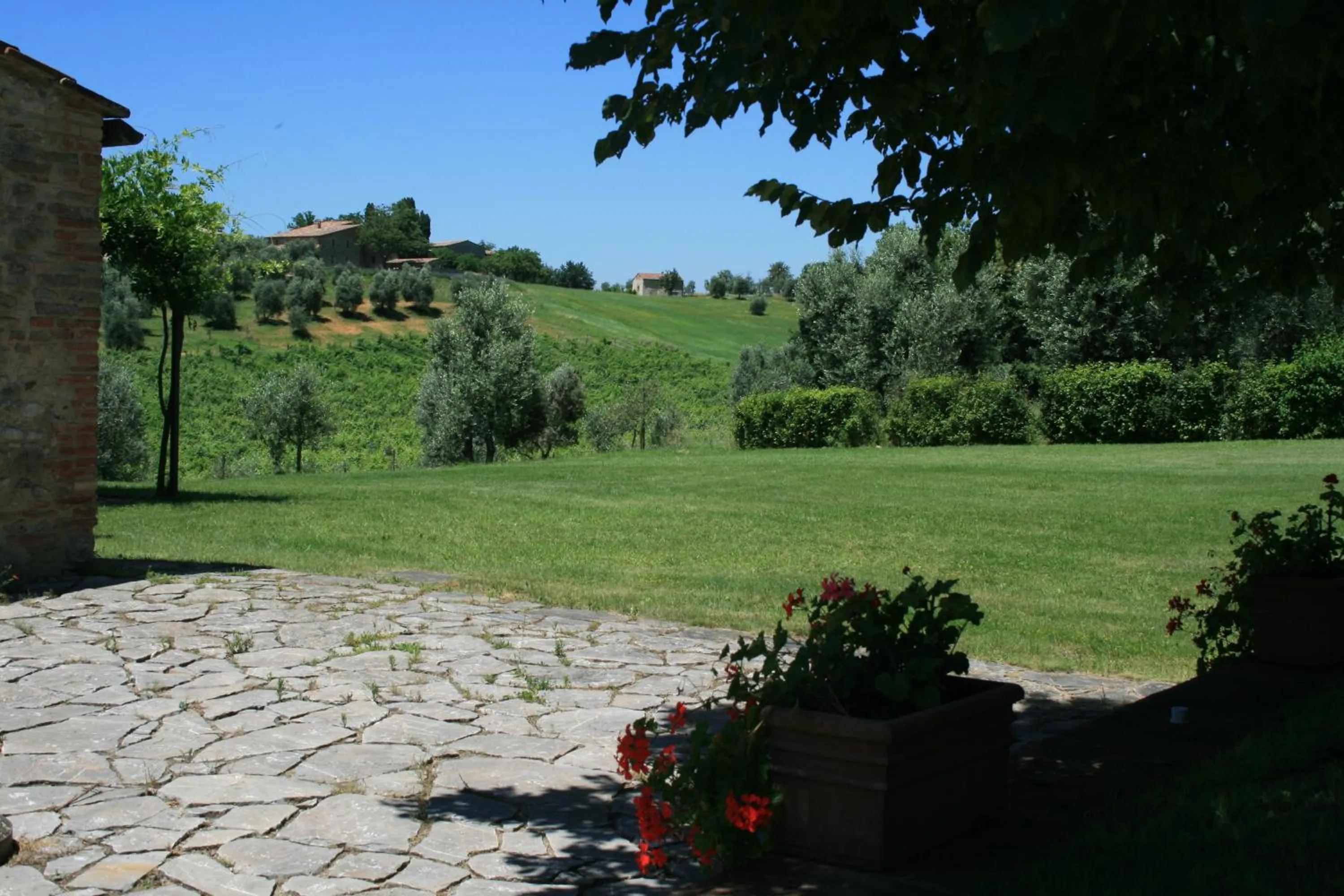 Garden view in Tenuta Di Monaciano