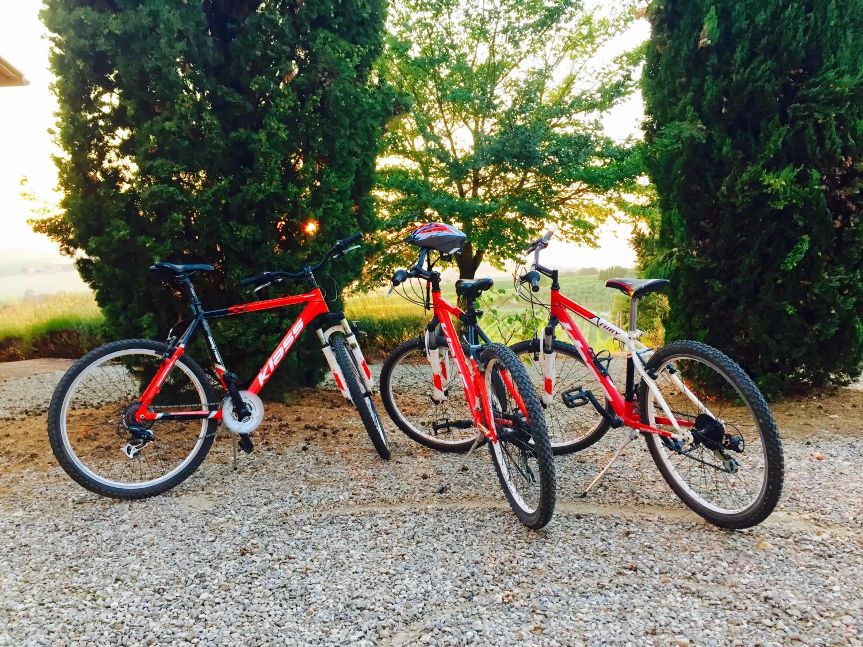 Cycling in Tenuta Di Monaciano