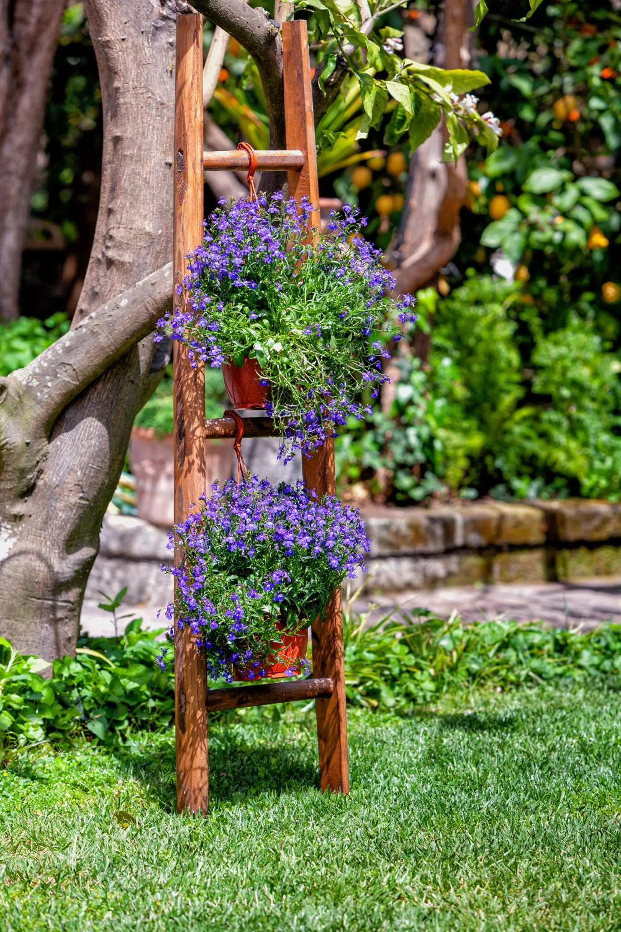 Garden in Villa Maresca B&B