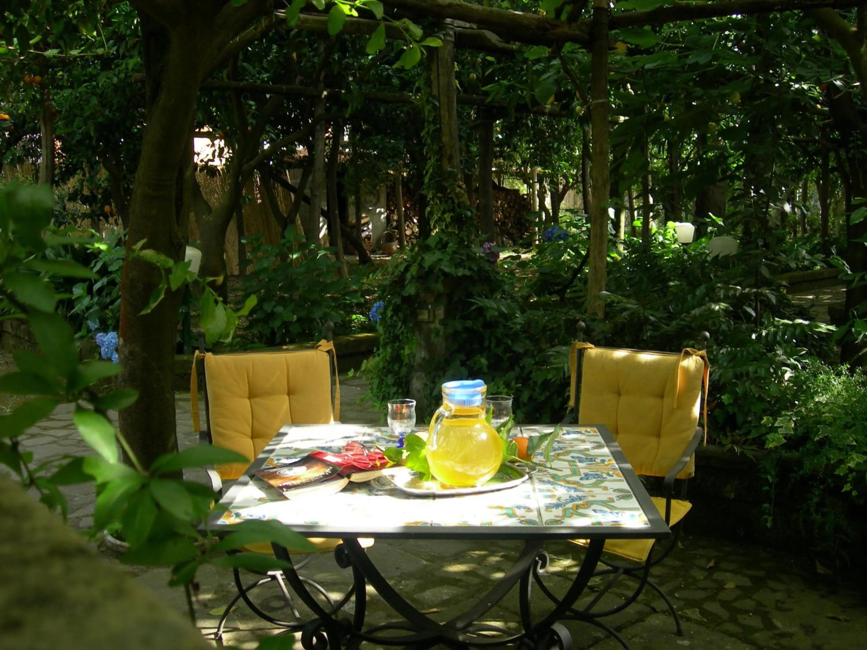 Garden in Villa Maresca B&B