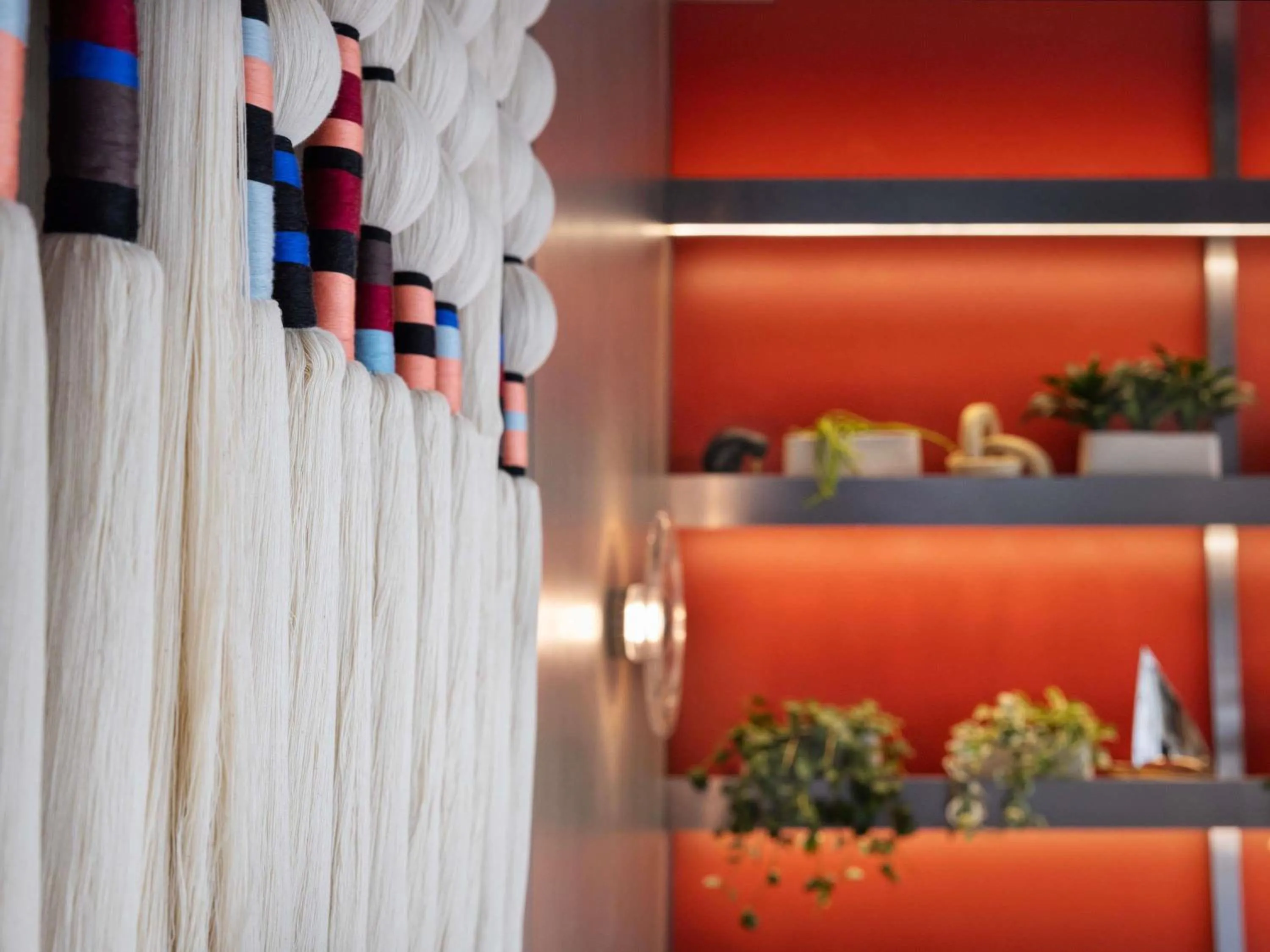 Other in TRIBE Auckland