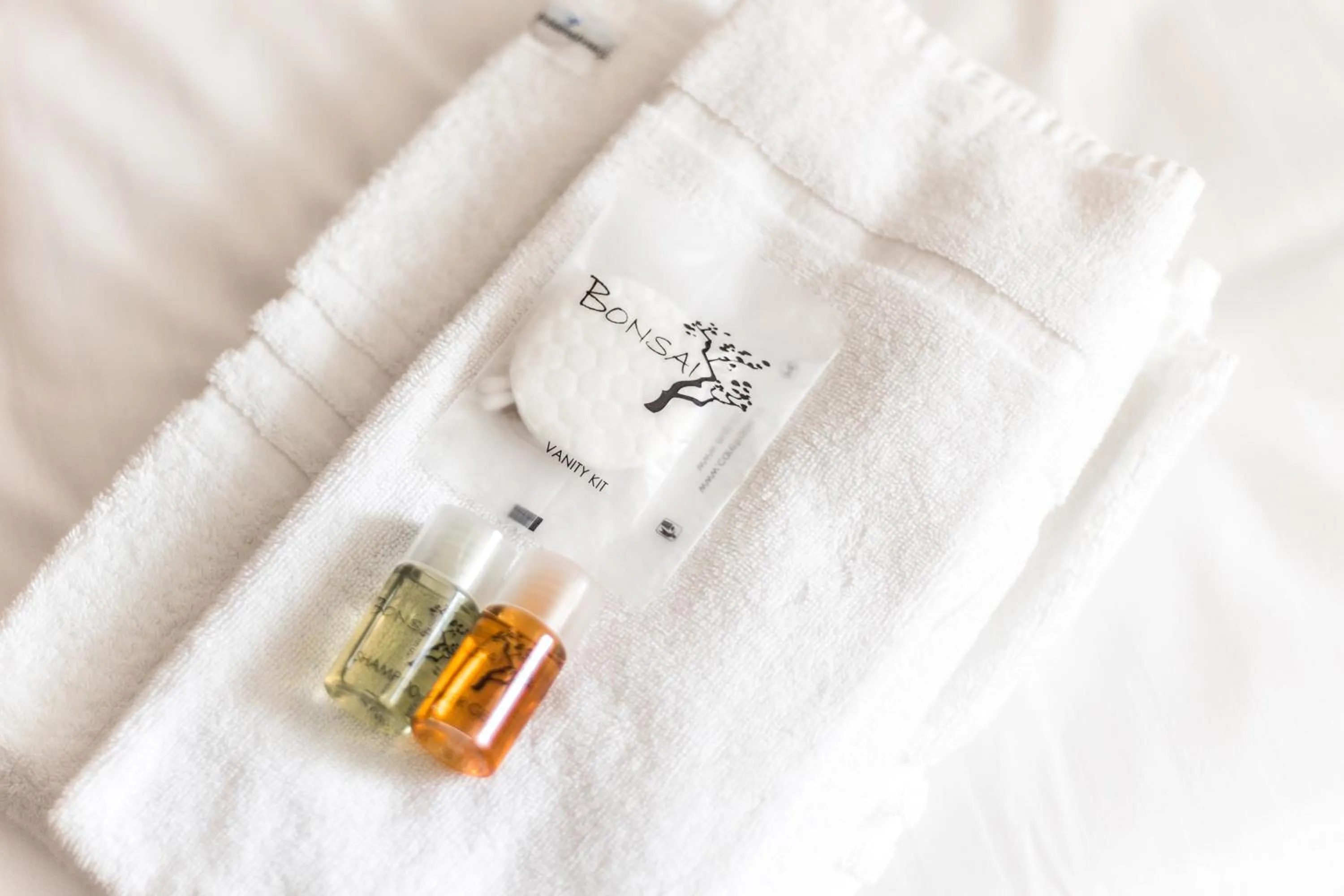 Decorative detail in Hotel Konopiště Nová Myslivna