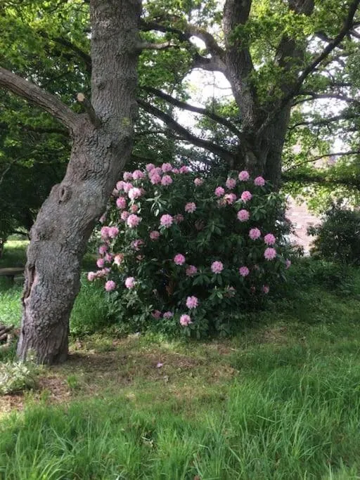 Garden in La Forge De La Coudraie