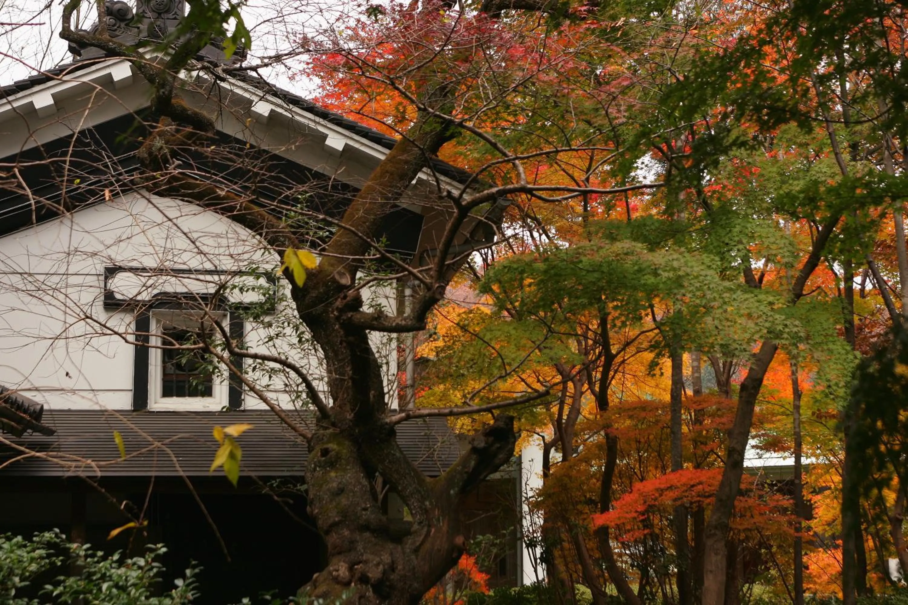 Natural landscape in Sakan