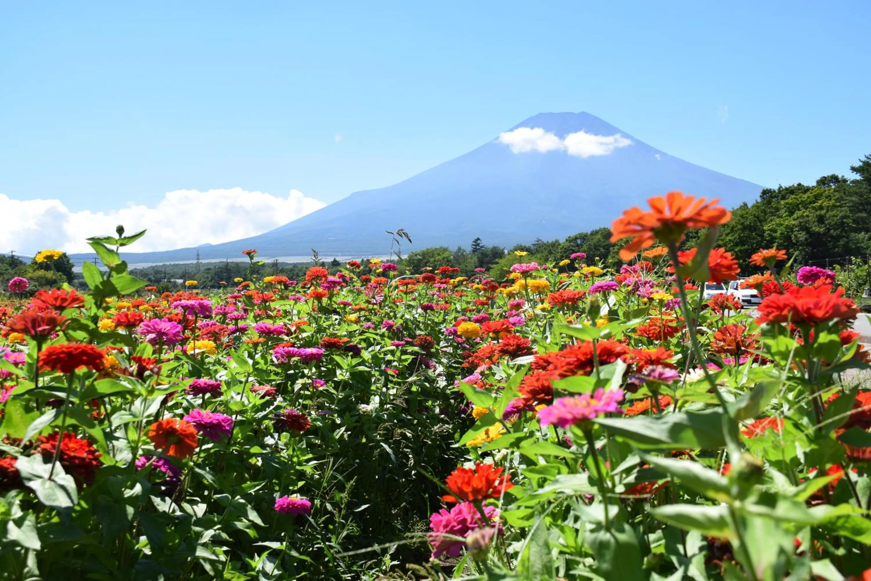 Natural landscape in Human resort