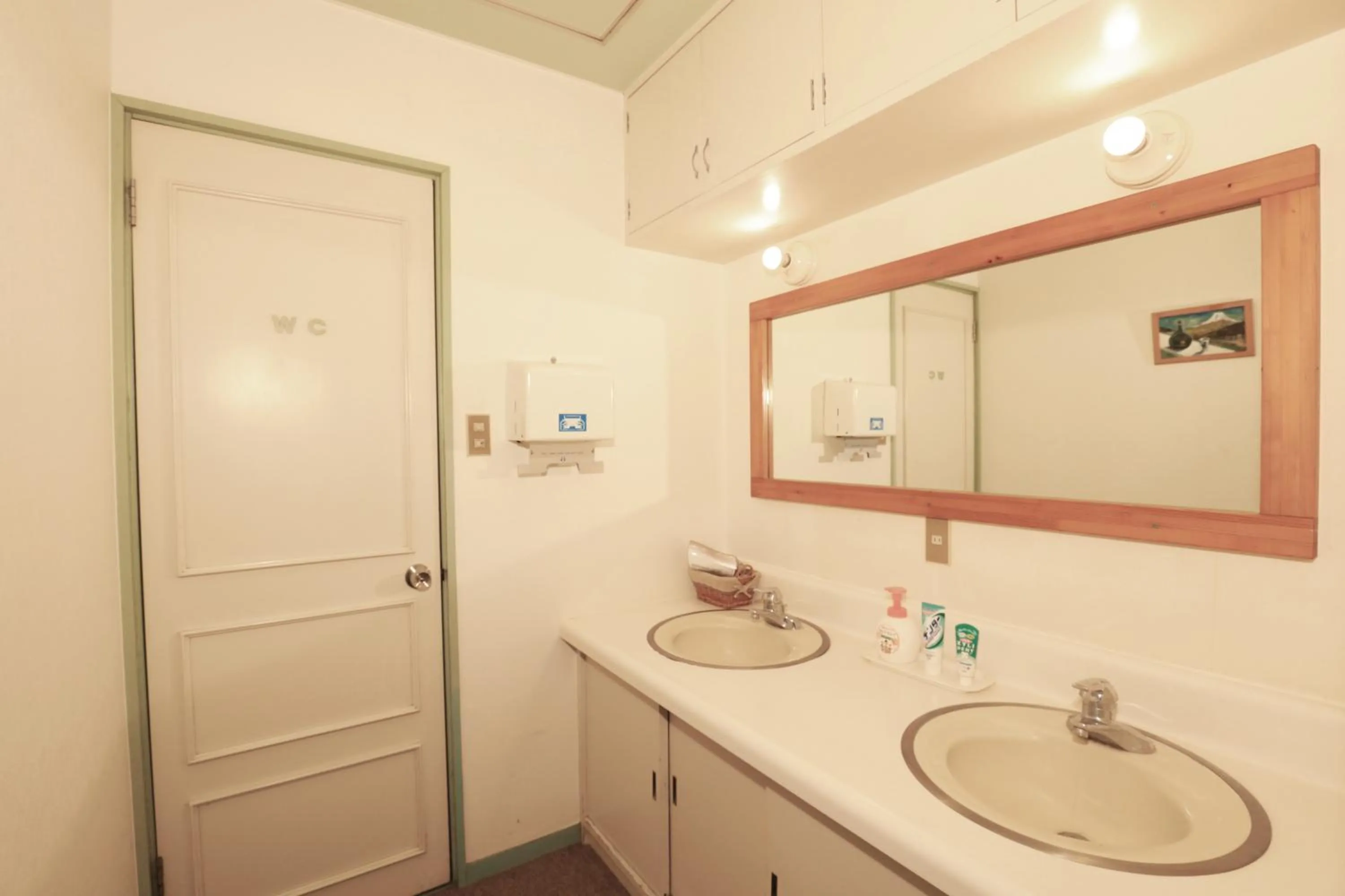 Bathroom in Human resort