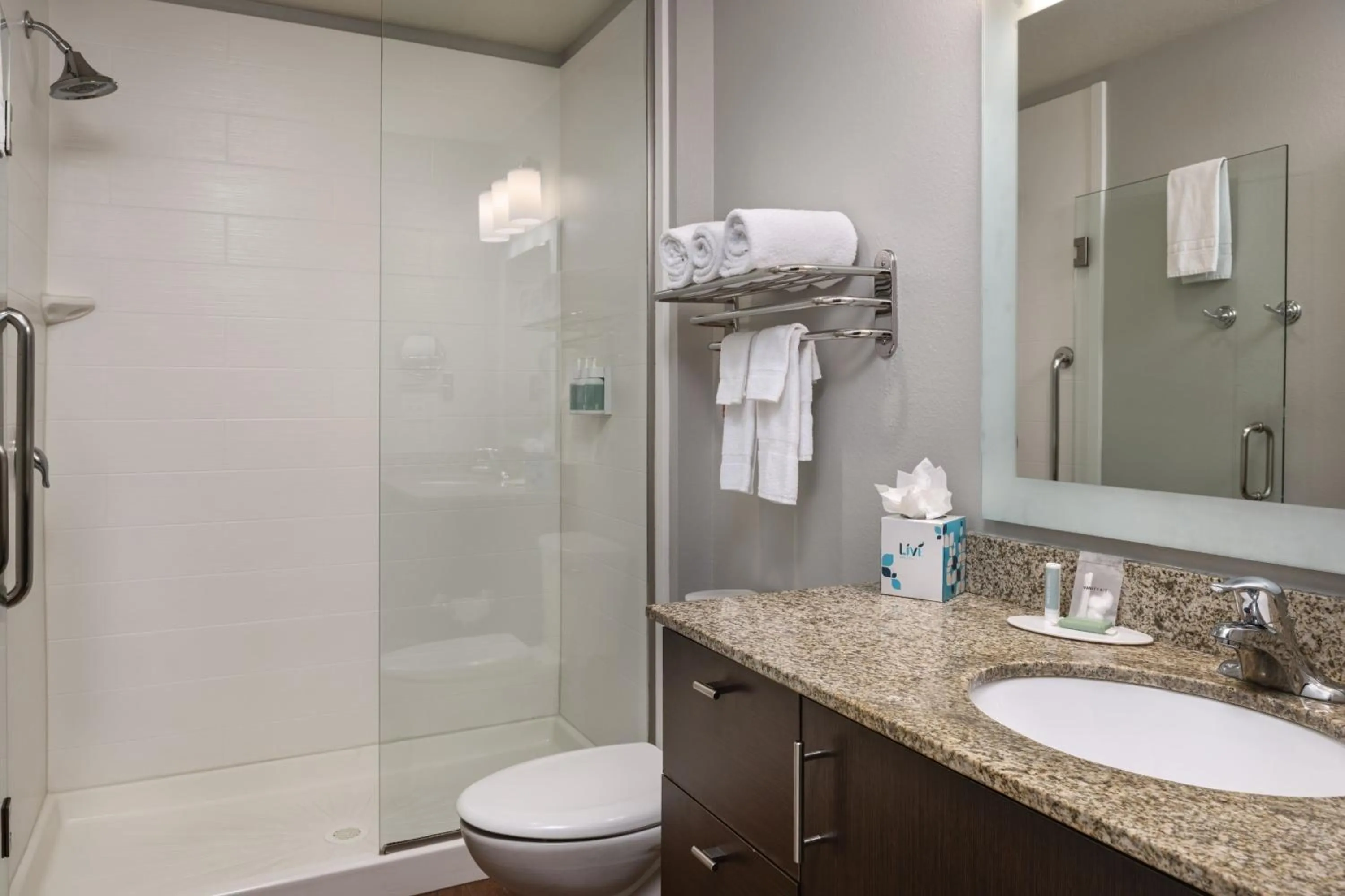 Bathroom in TownePlace Suites by Marriott Salt Lake City-West Valley