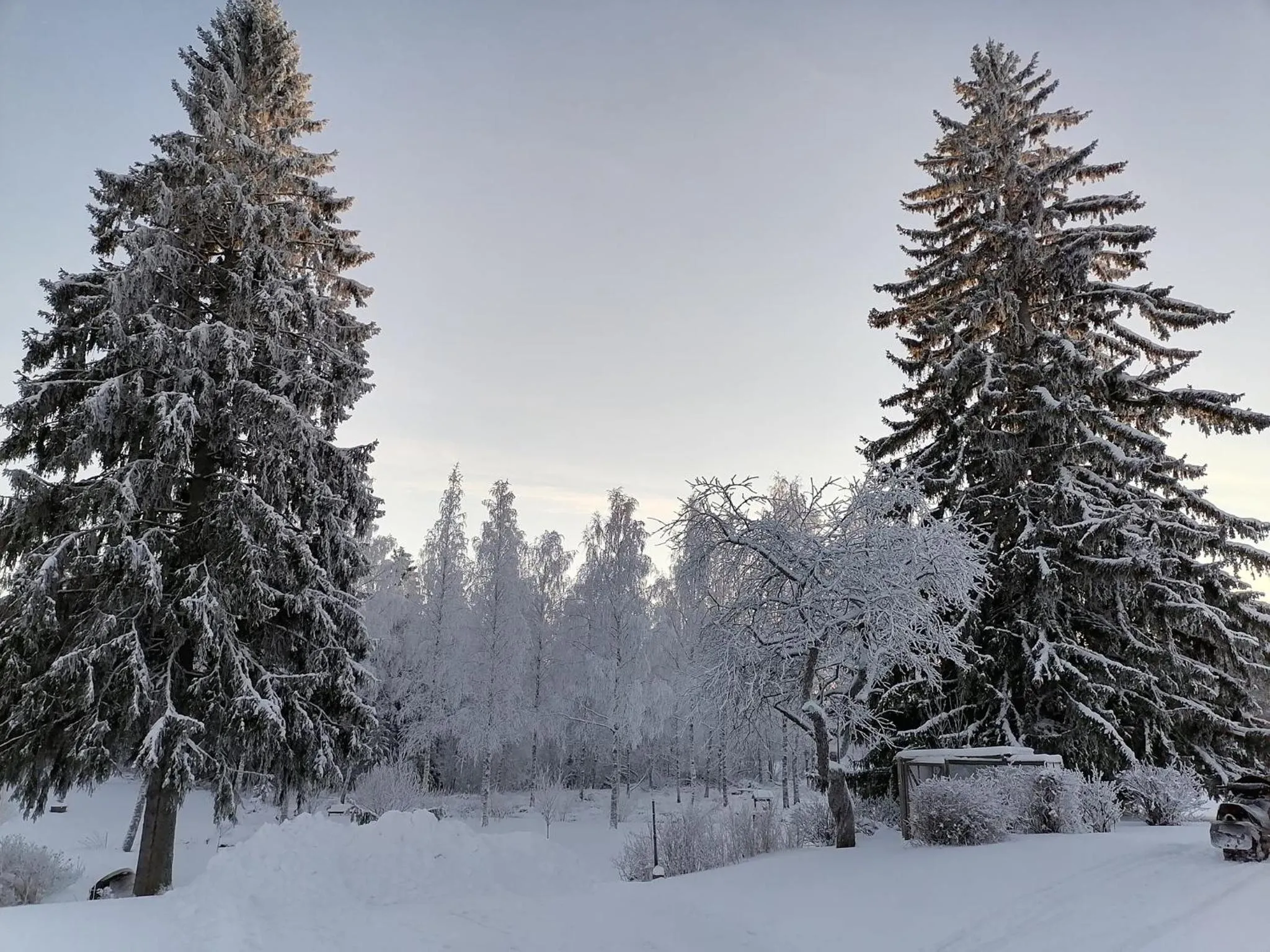 Natural landscape in Hostel Mansikka
