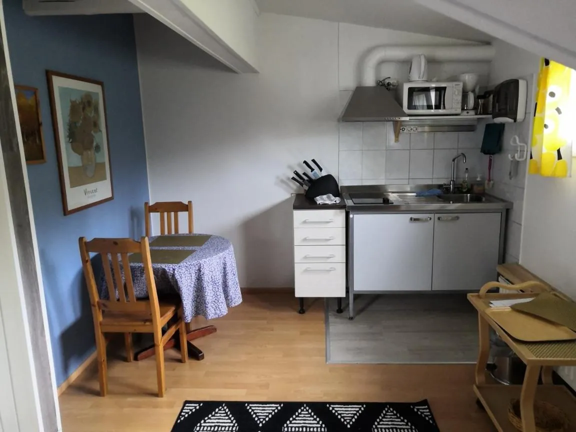 Kitchen or kitchenette in Hostel Mansikka