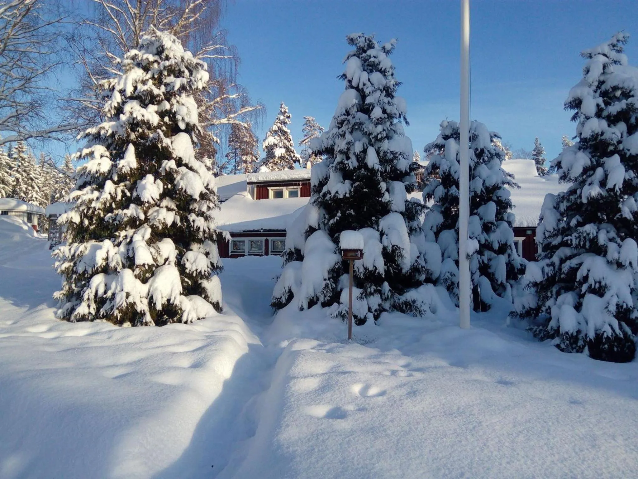 Property building in Hostel Mansikka