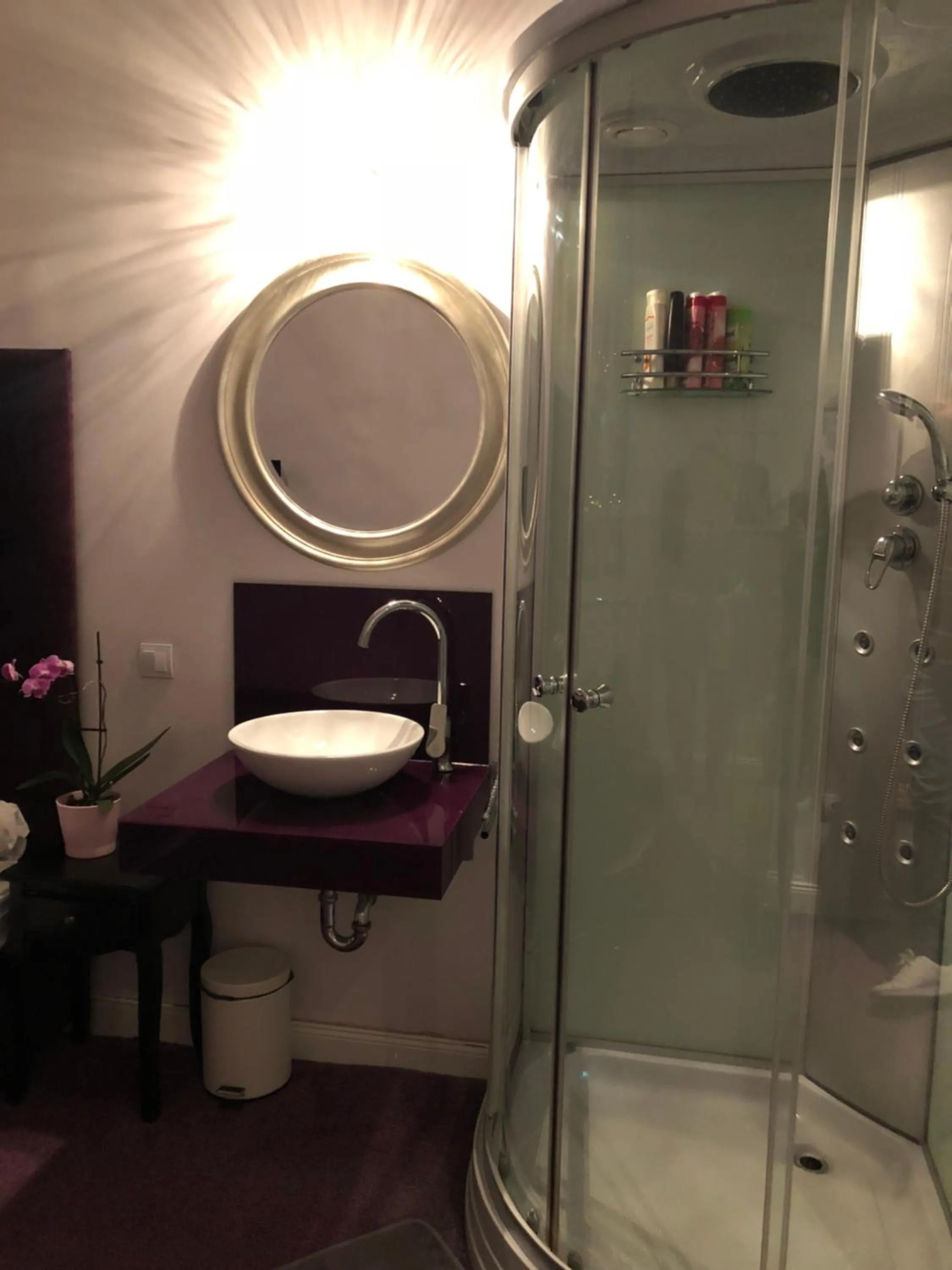 Shower in Balance Home