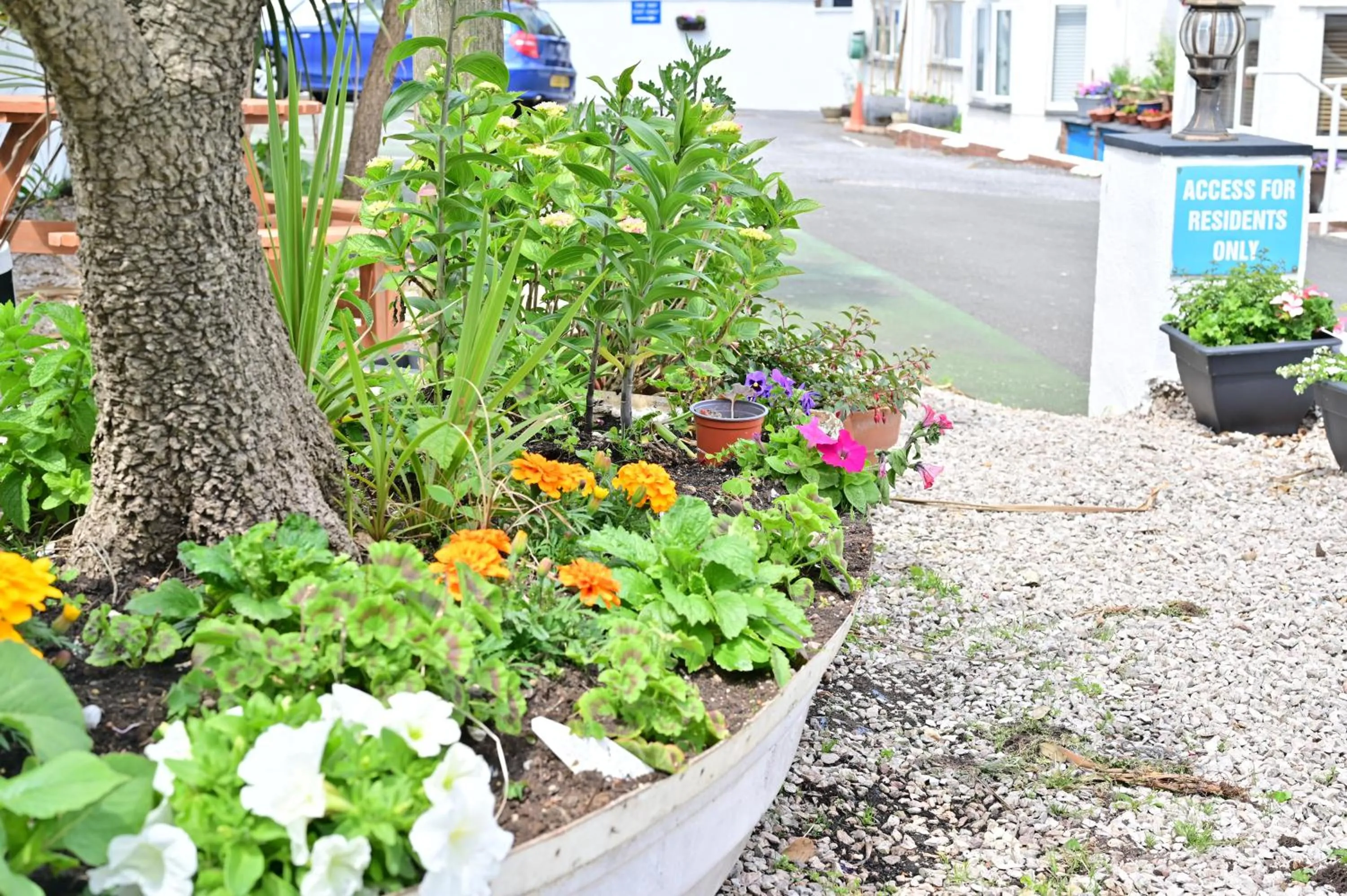 Garden view in Lyme Bay House