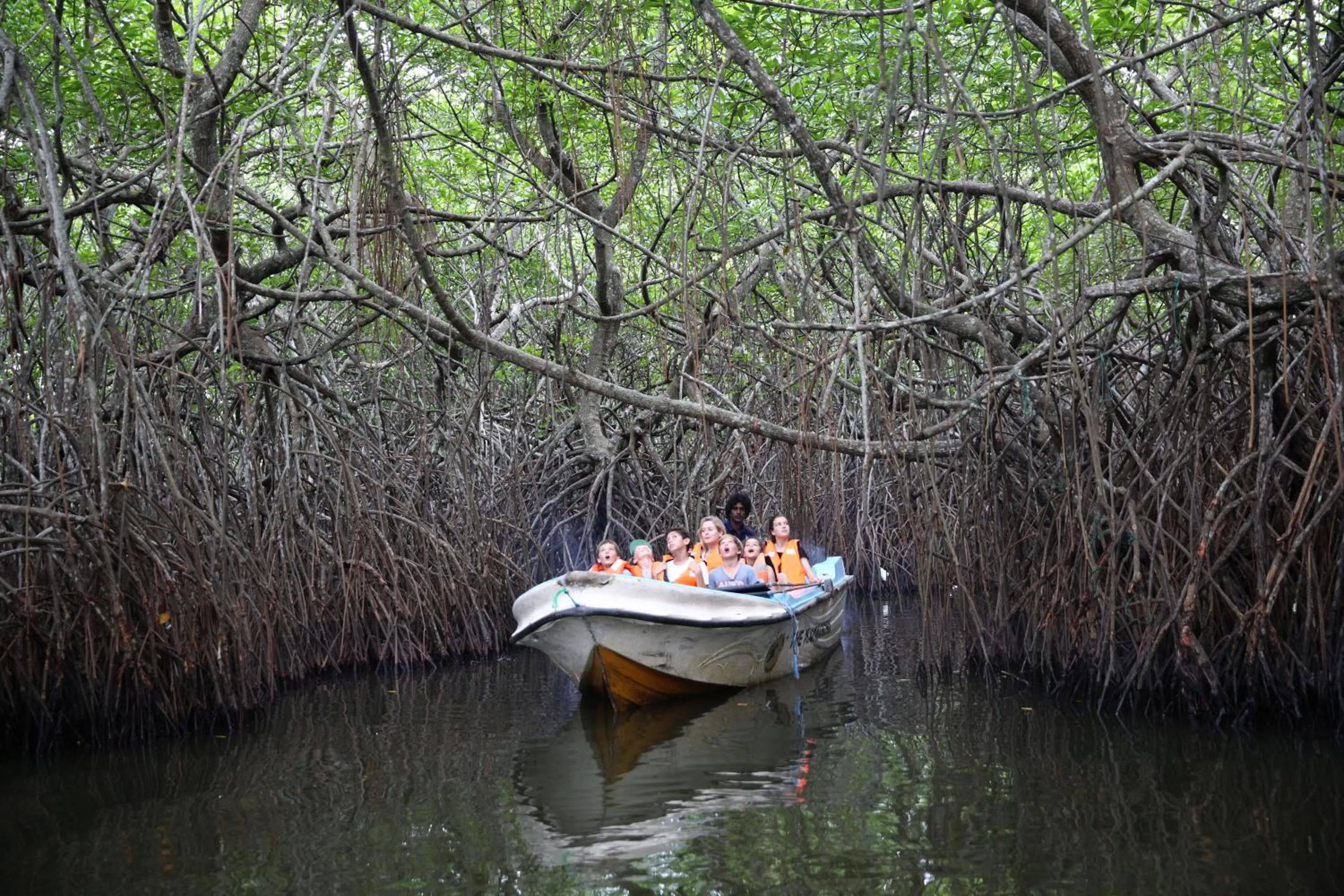 Day in Calamansi Cove Villas