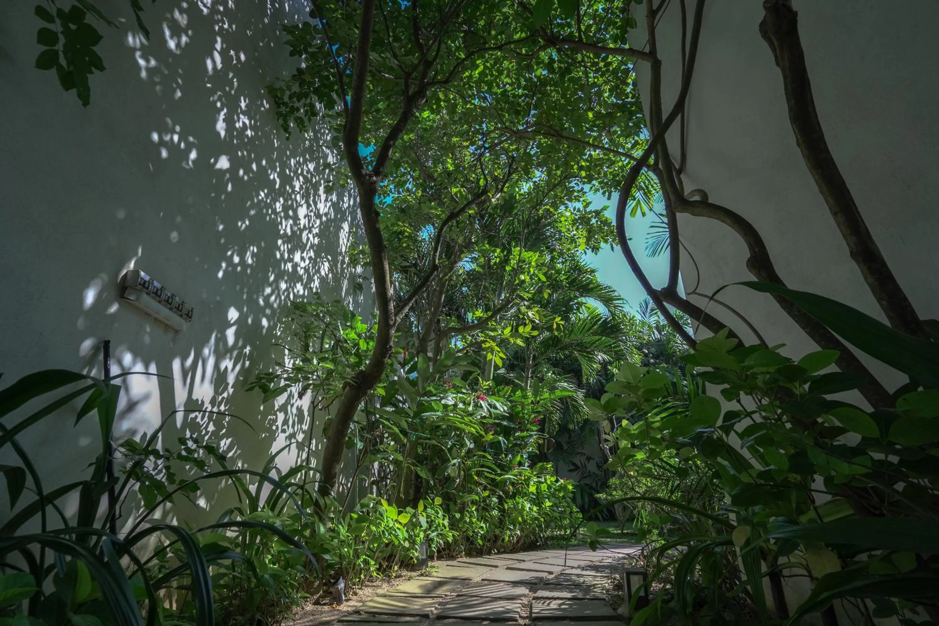 Garden in Calamansi Cove Villas