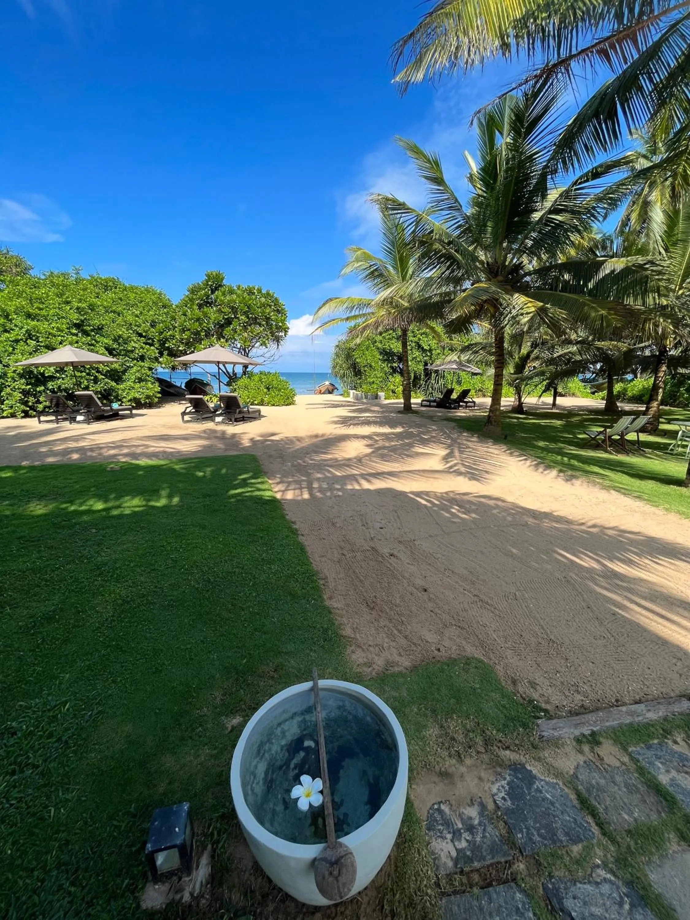 Natural landscape in Calamansi Cove Villas