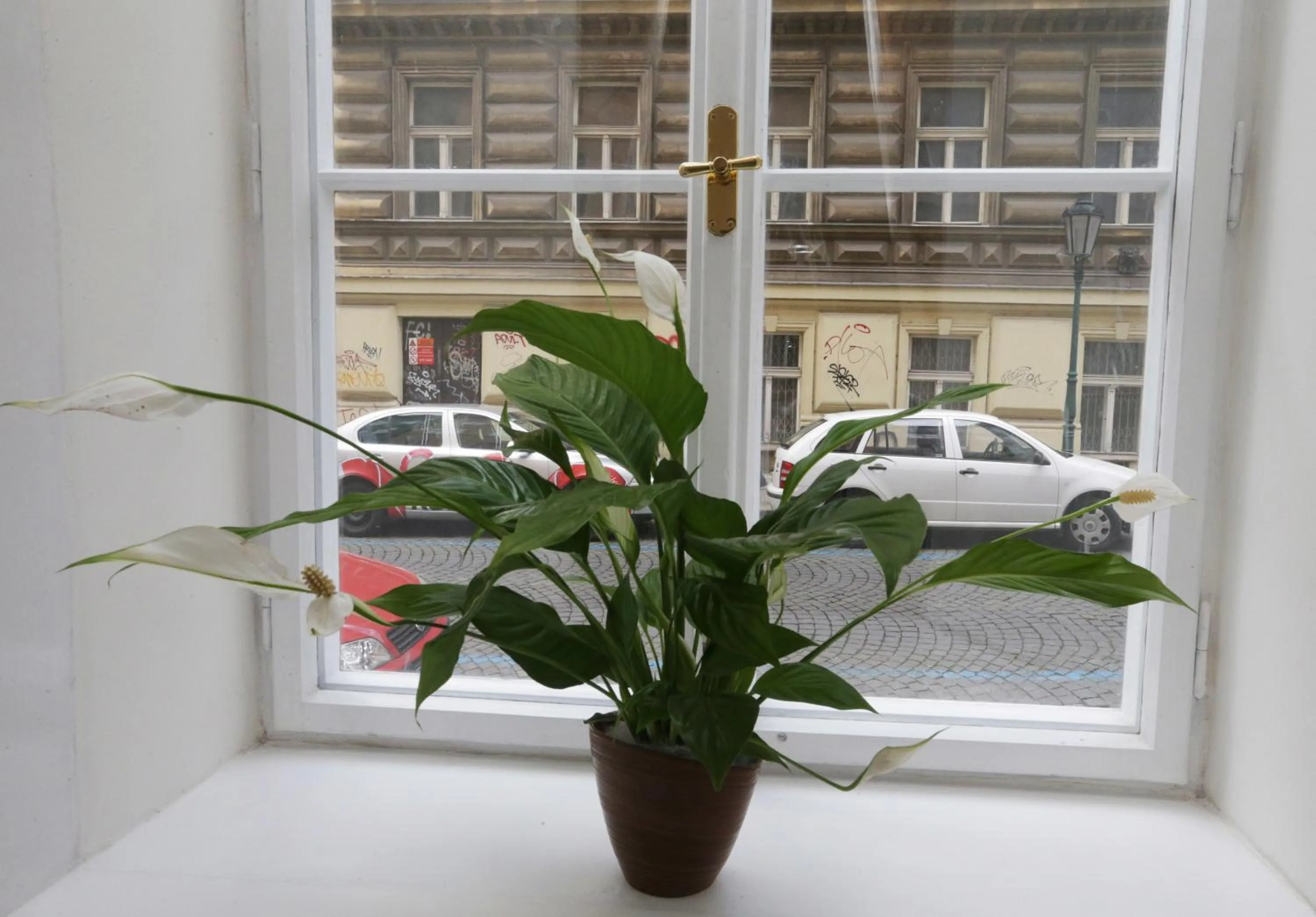 View (from property/room) in Greg Apartments Kampa Prague