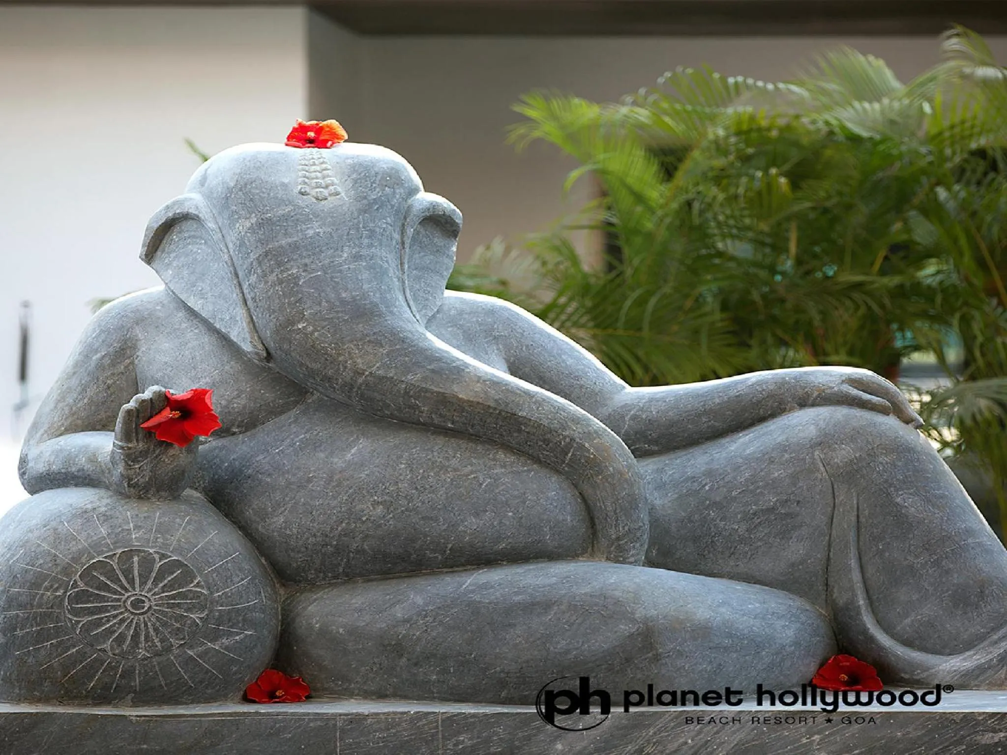 Decorative detail in Planet Hollywood Beach Resort Goa