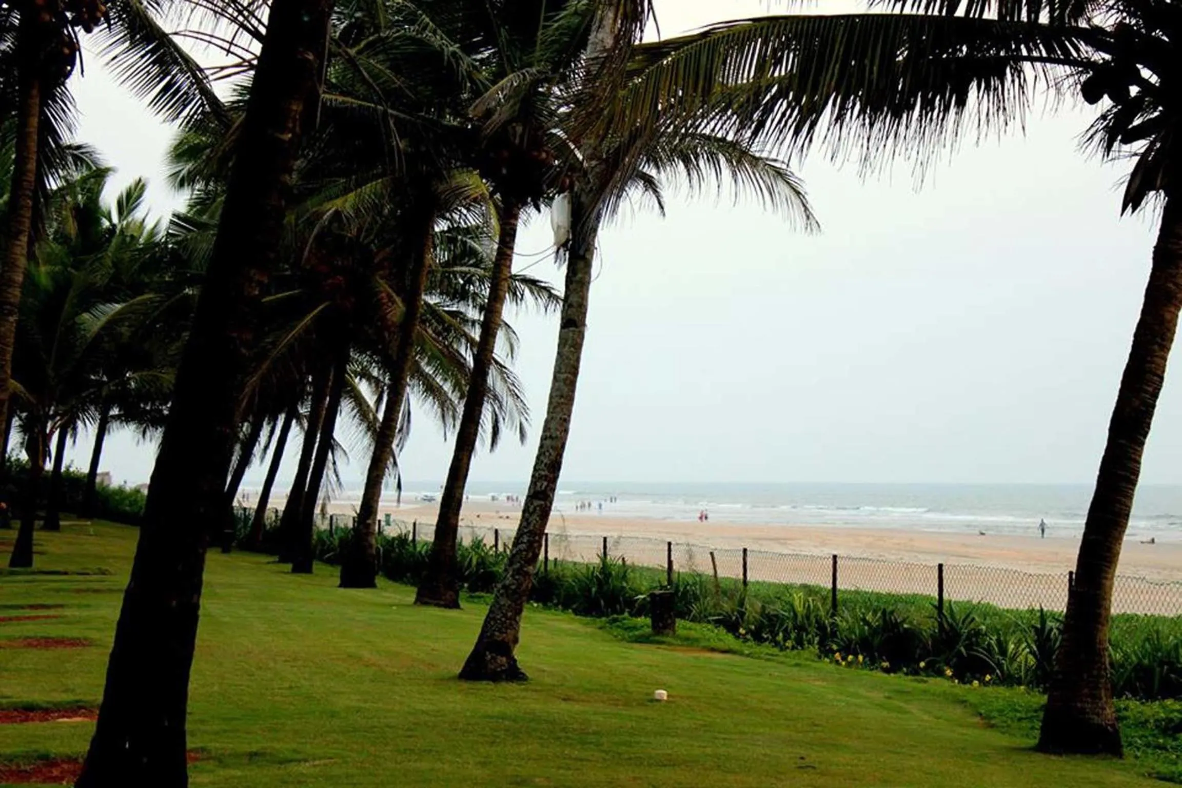 Beach in Planet Hollywood Beach Resort Goa