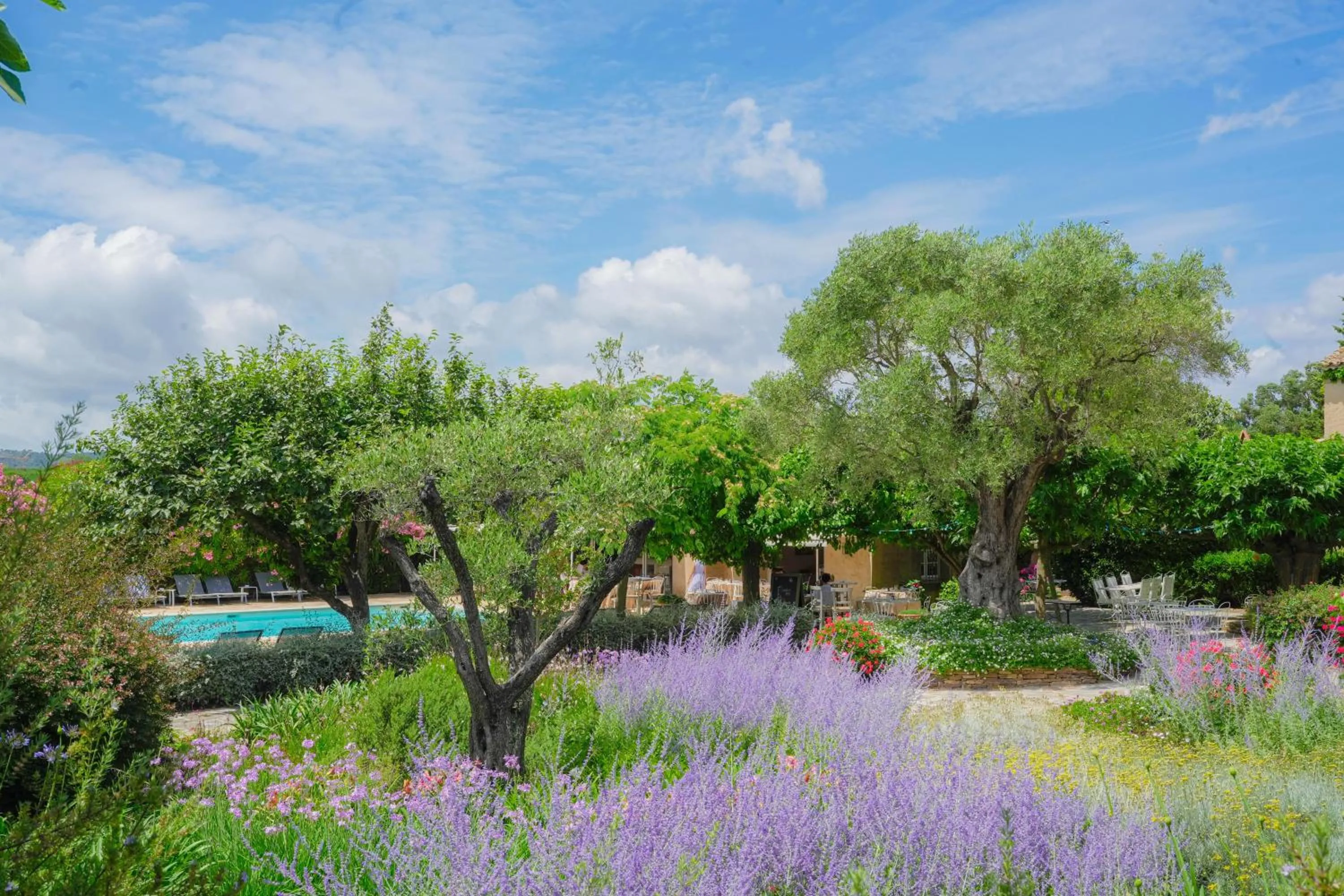 Garden in Hôtel La Figuière
