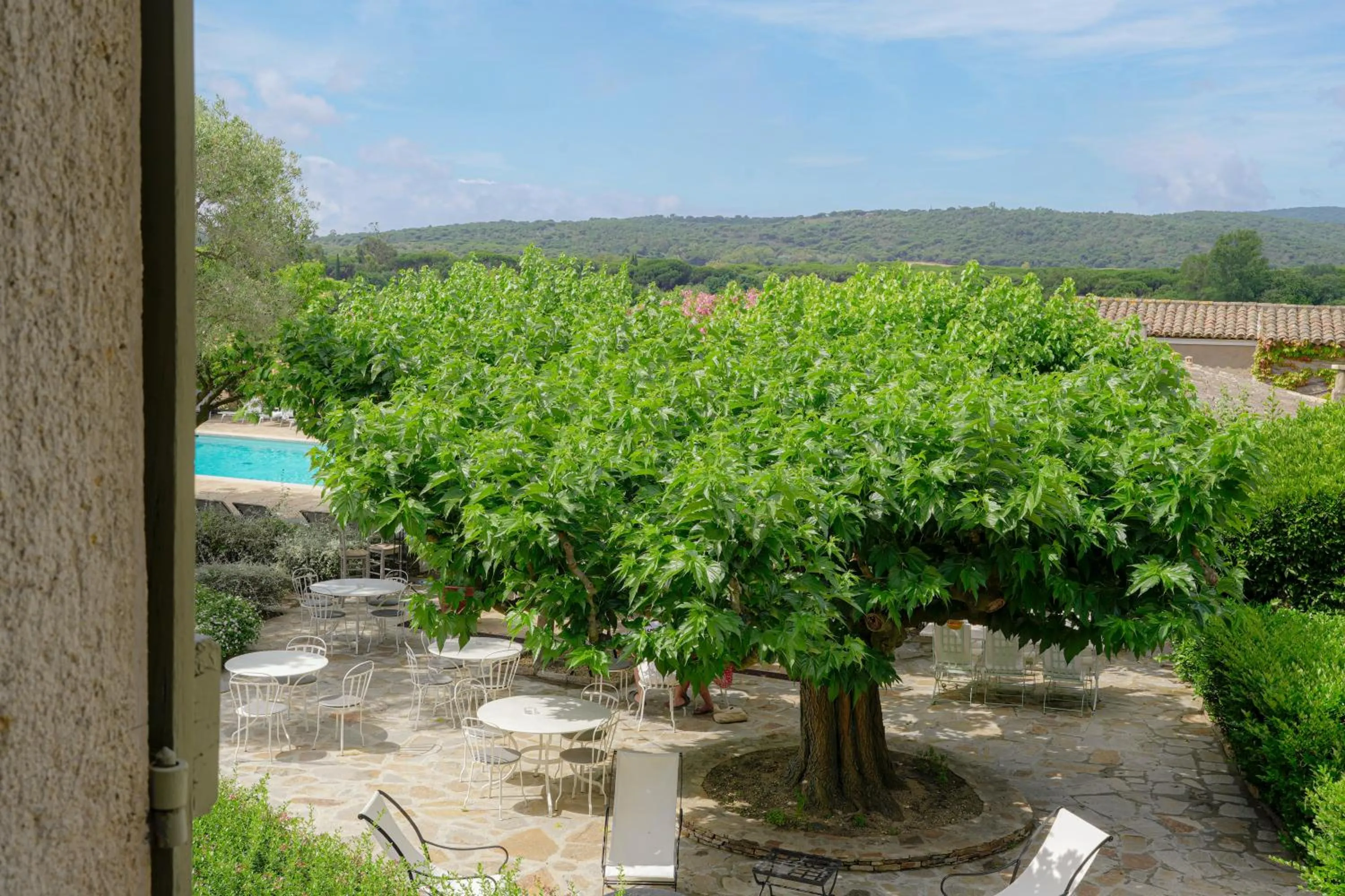 Garden view in Hôtel La Figuière