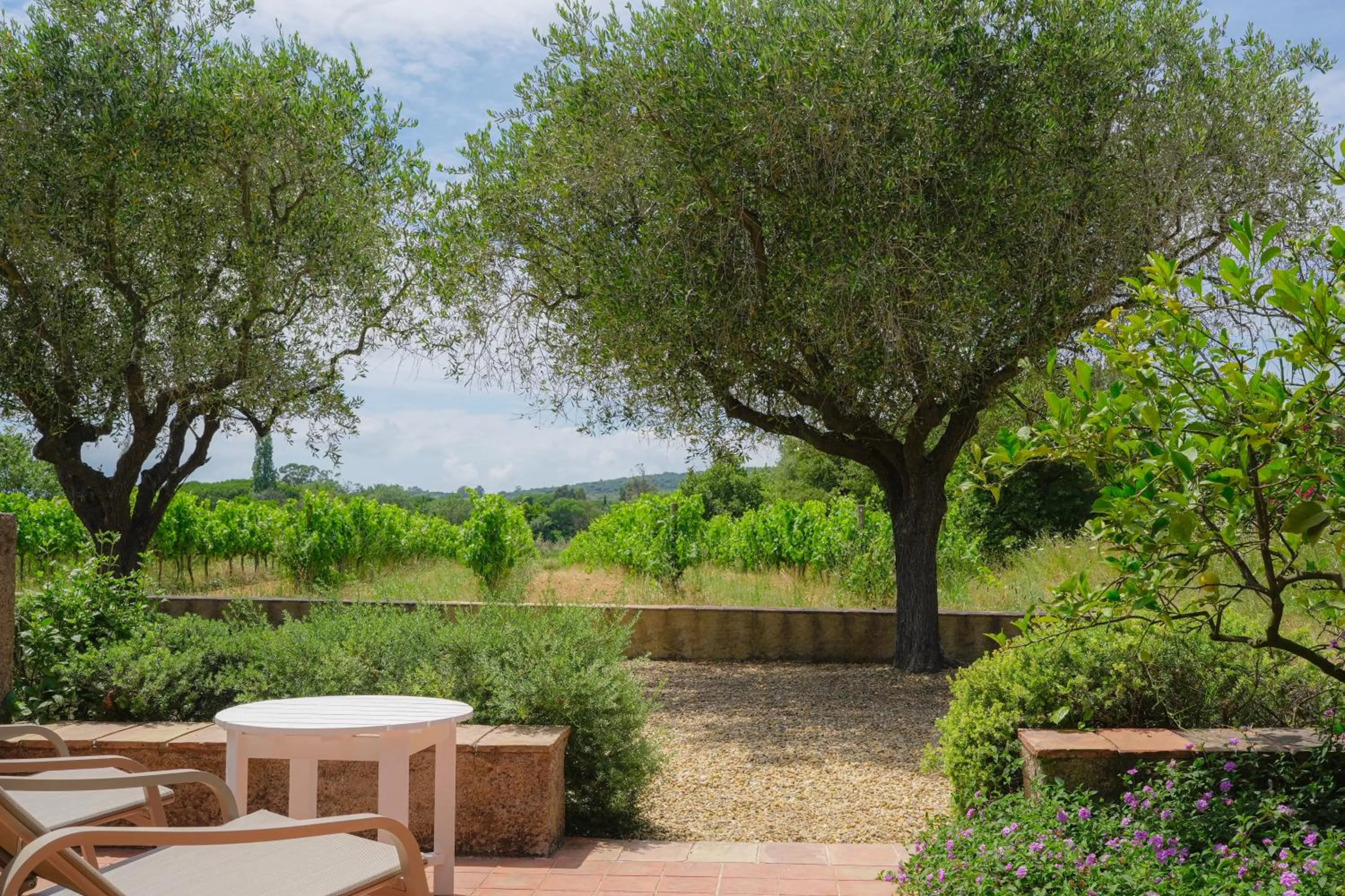 Garden in Hôtel La Figuière