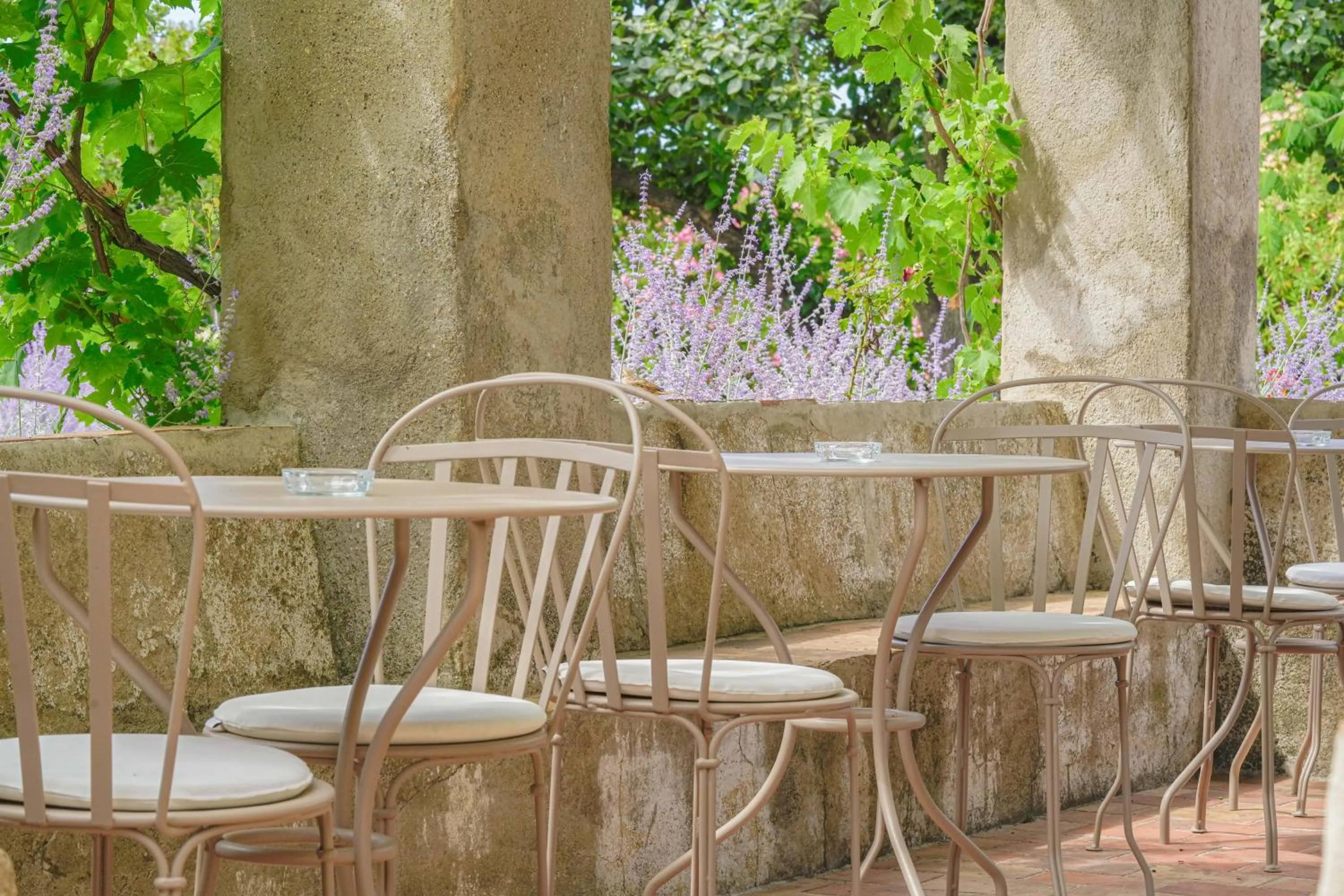 Patio in Hôtel La Figuière
