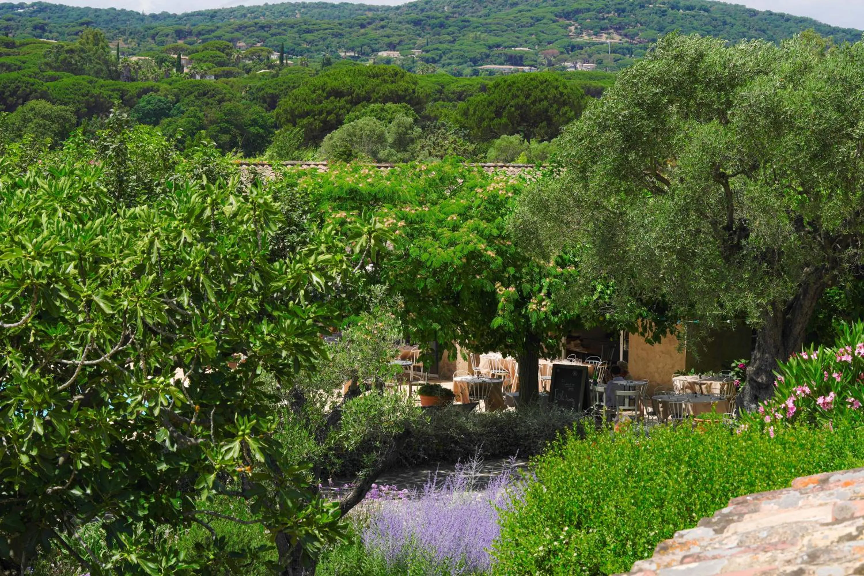 View (from property/room) in Hôtel La Figuière