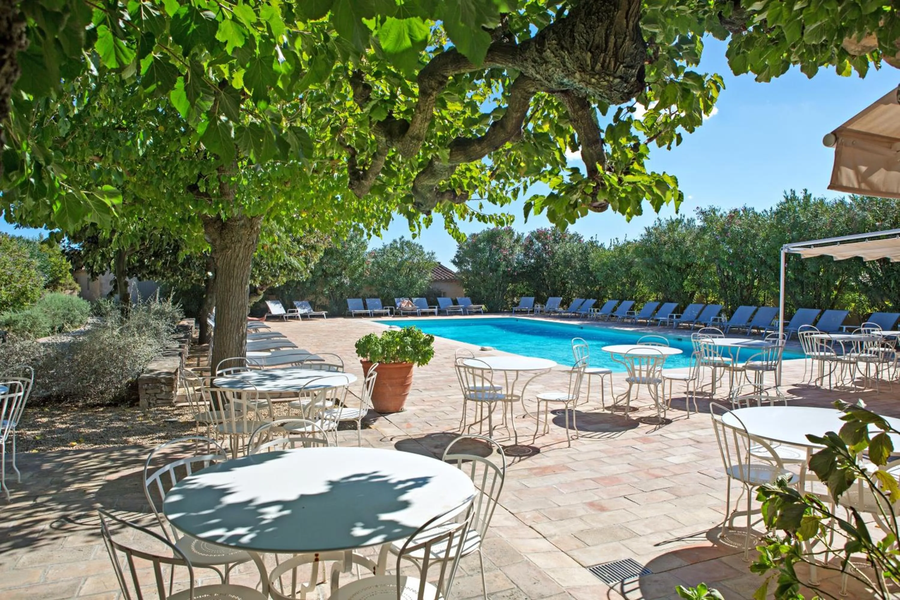 Restaurant/places to eat in Hôtel La Figuière