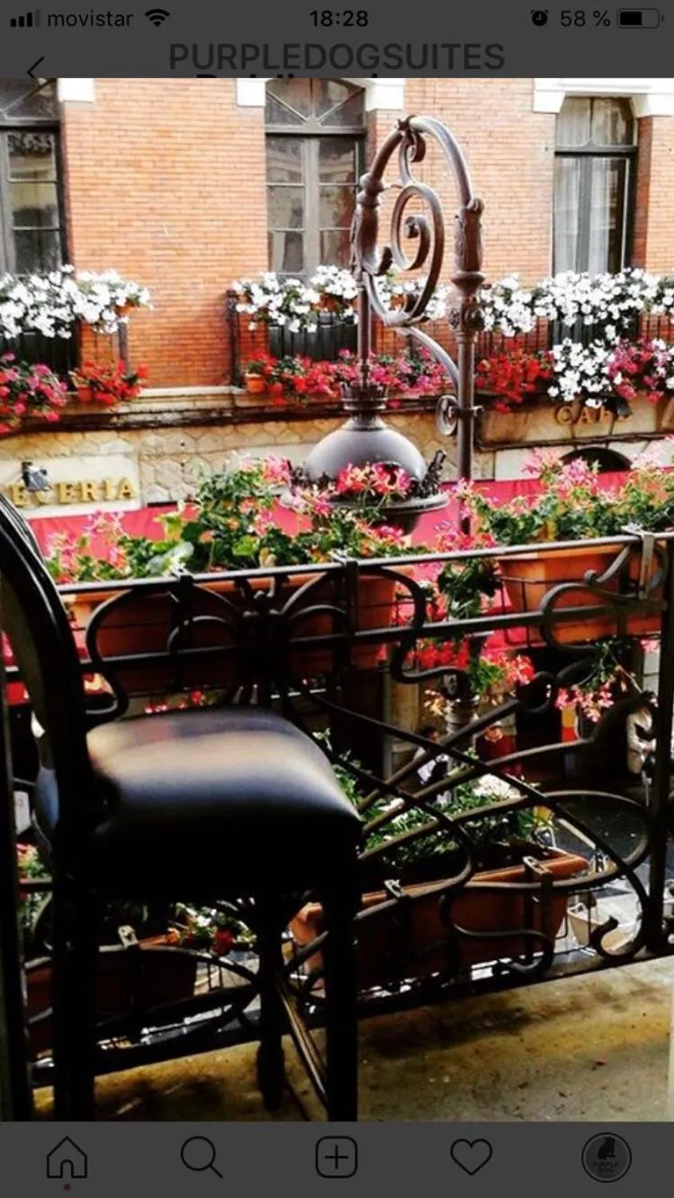 Balcony/Terrace in Purple Dog Suites