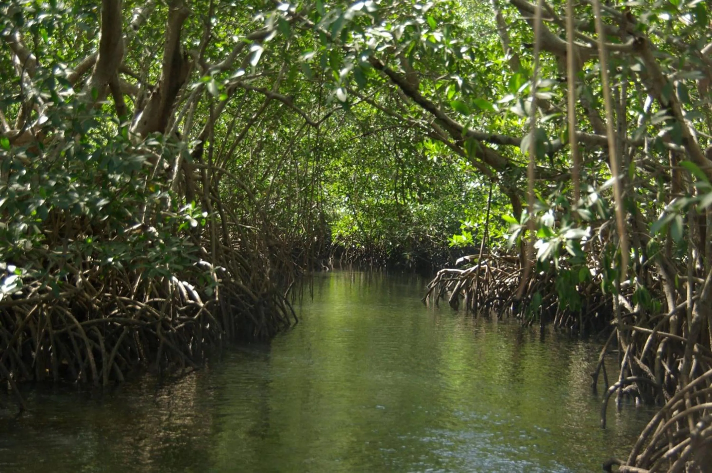 Natural landscape in Bed and breakfast Keur Niaye
