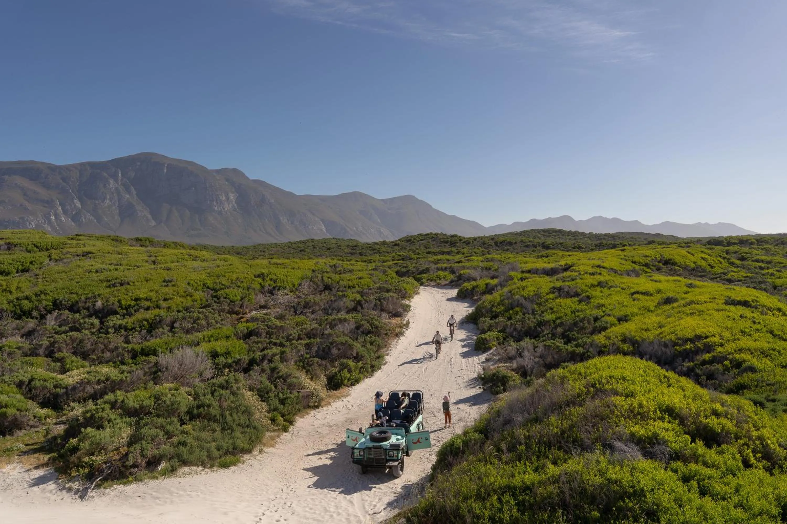 Activities in Coot Club