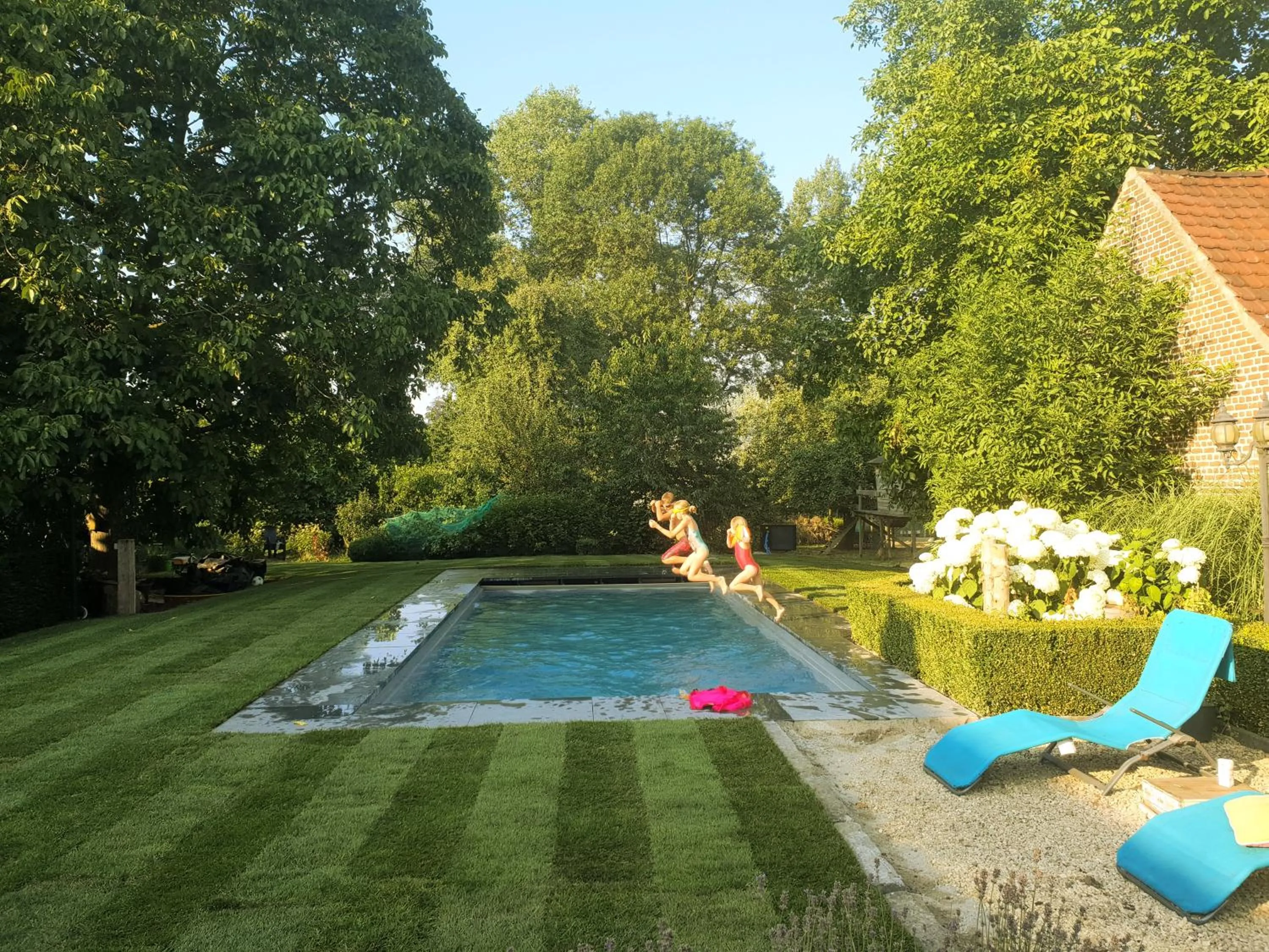 Pool view in B&B 'Het Logiement