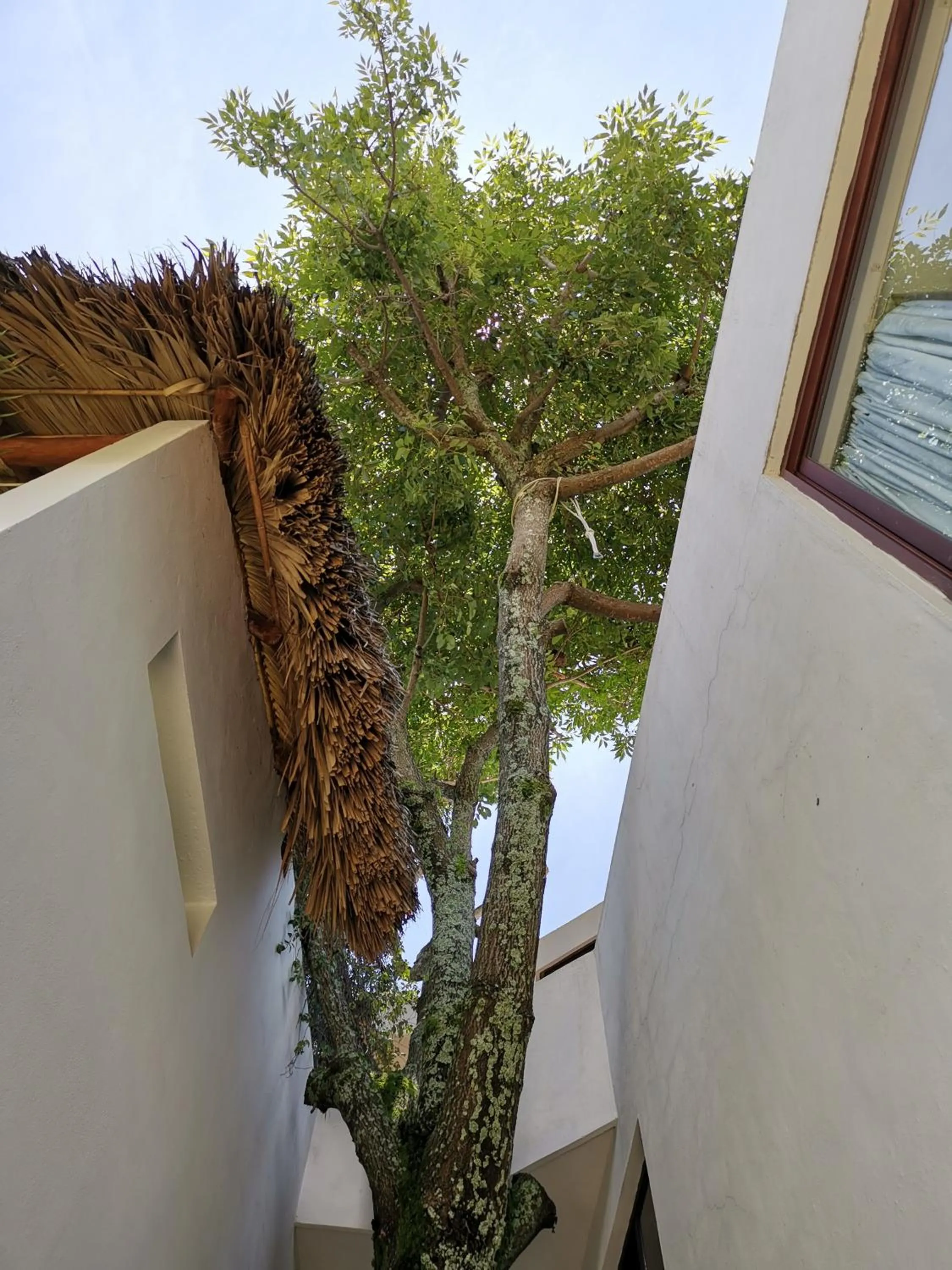 Garden view in Mocca Hotels