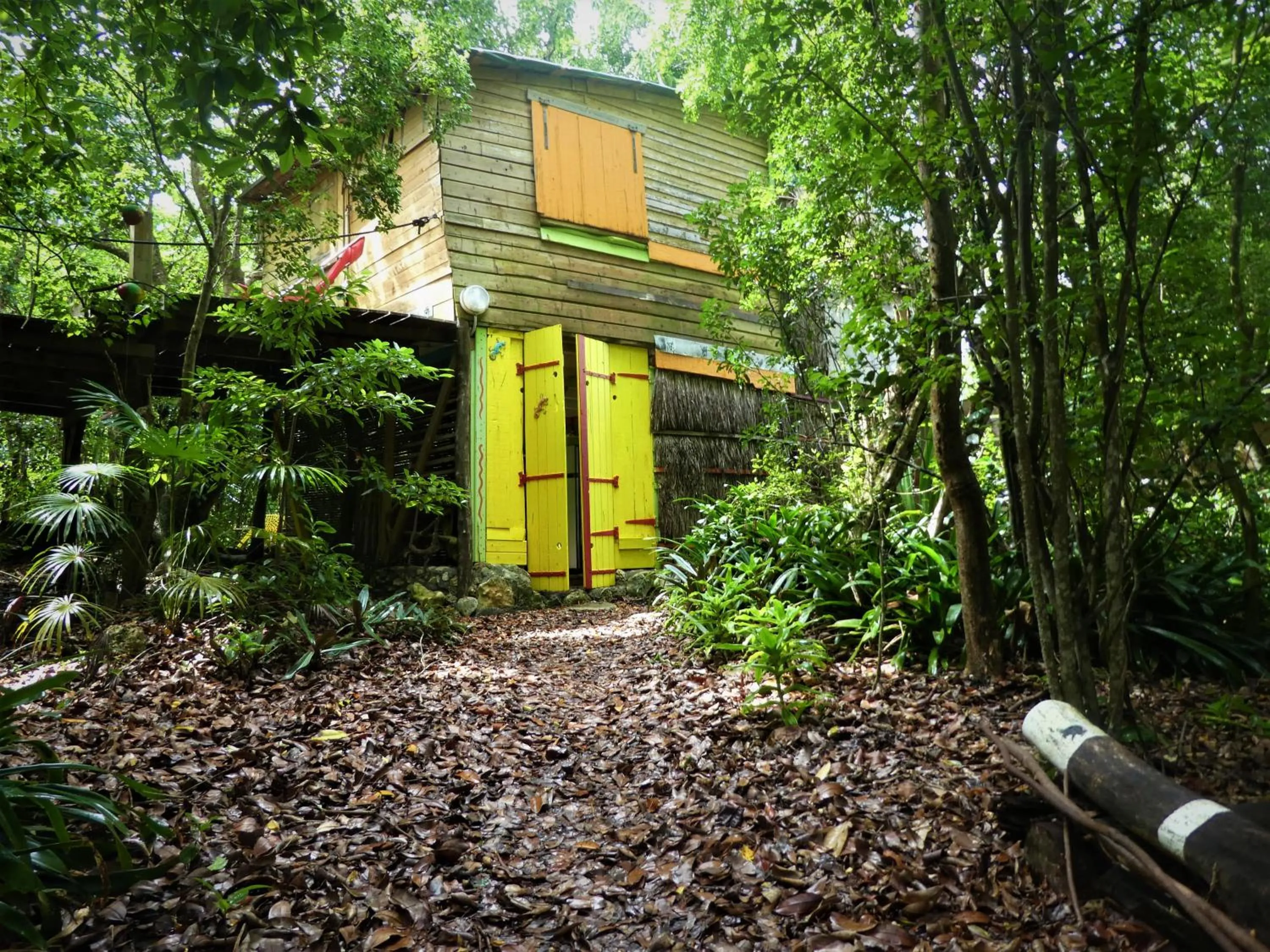 House on the Trees in Esprit Caraibe