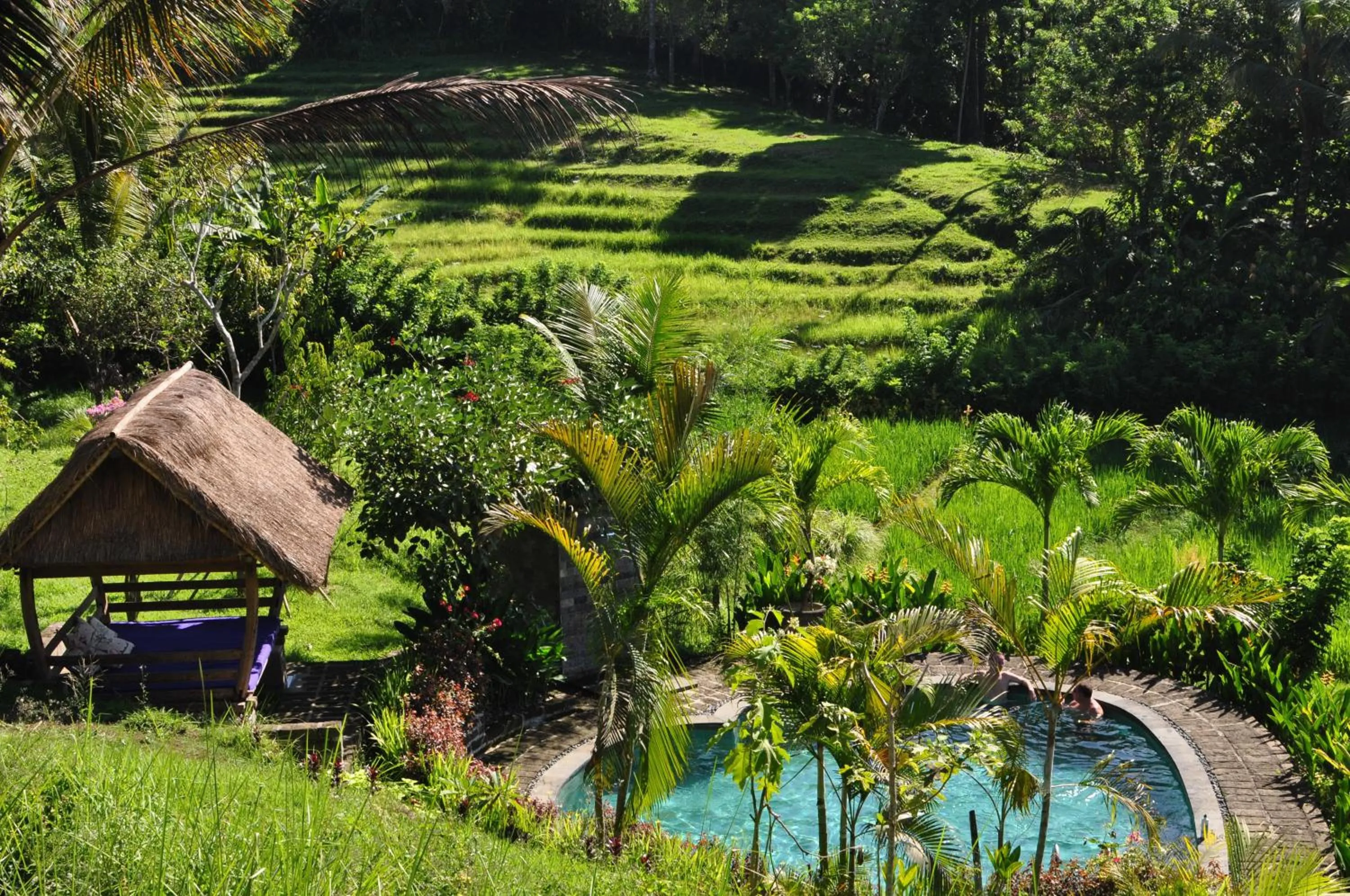 Garden view in Bali Lush