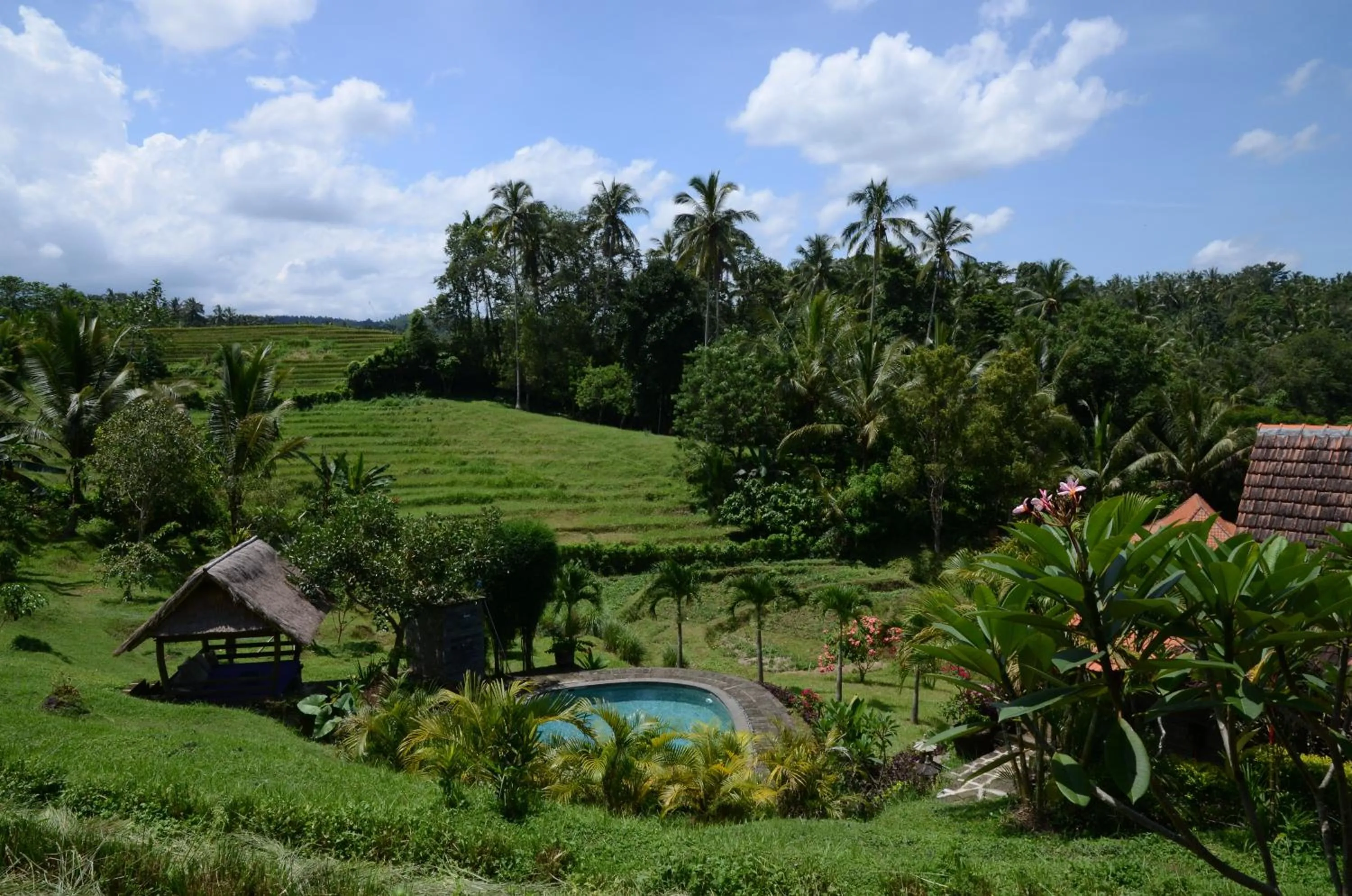 Neighbourhood in Bali Lush