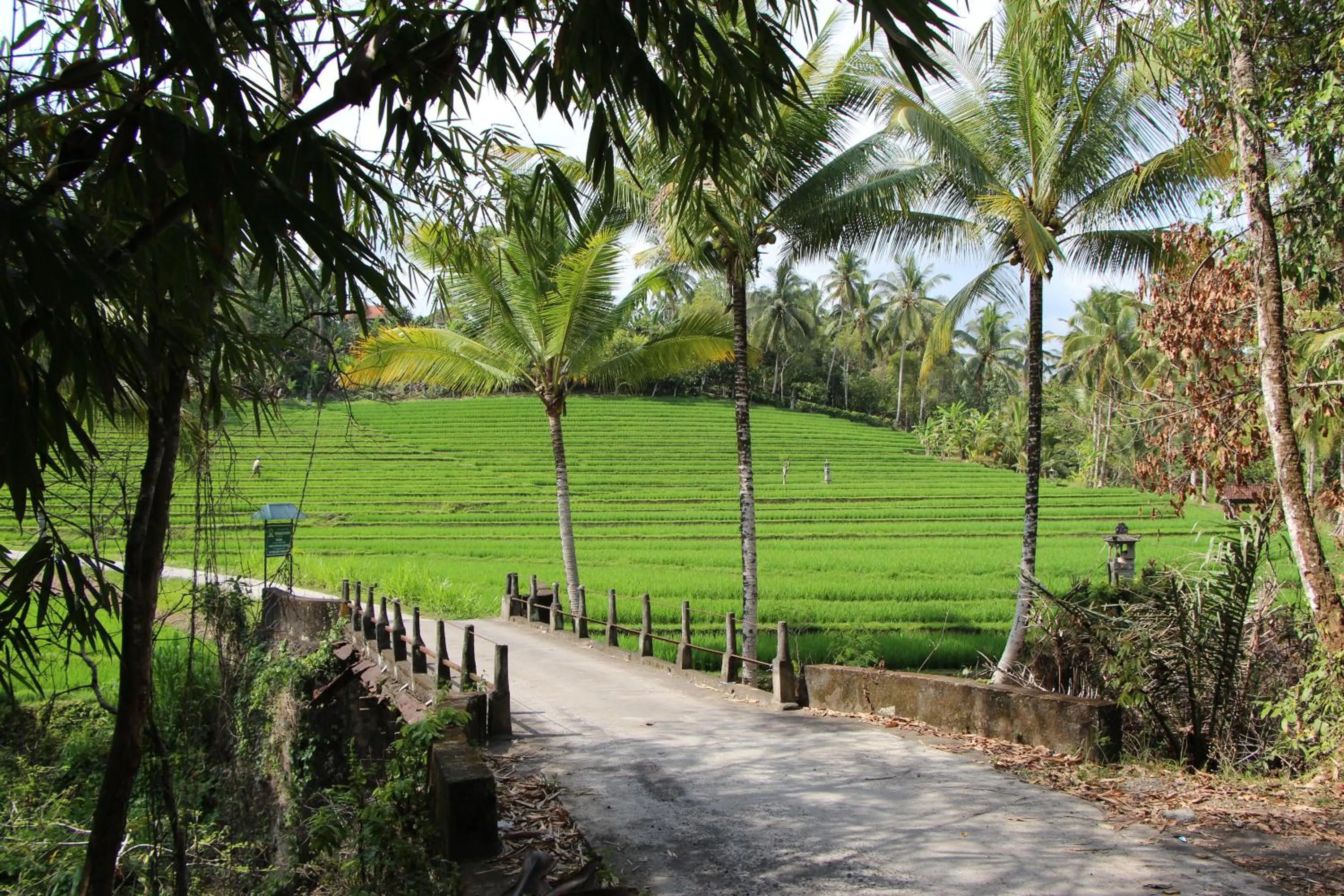 Nearby landmark in Bali Lush