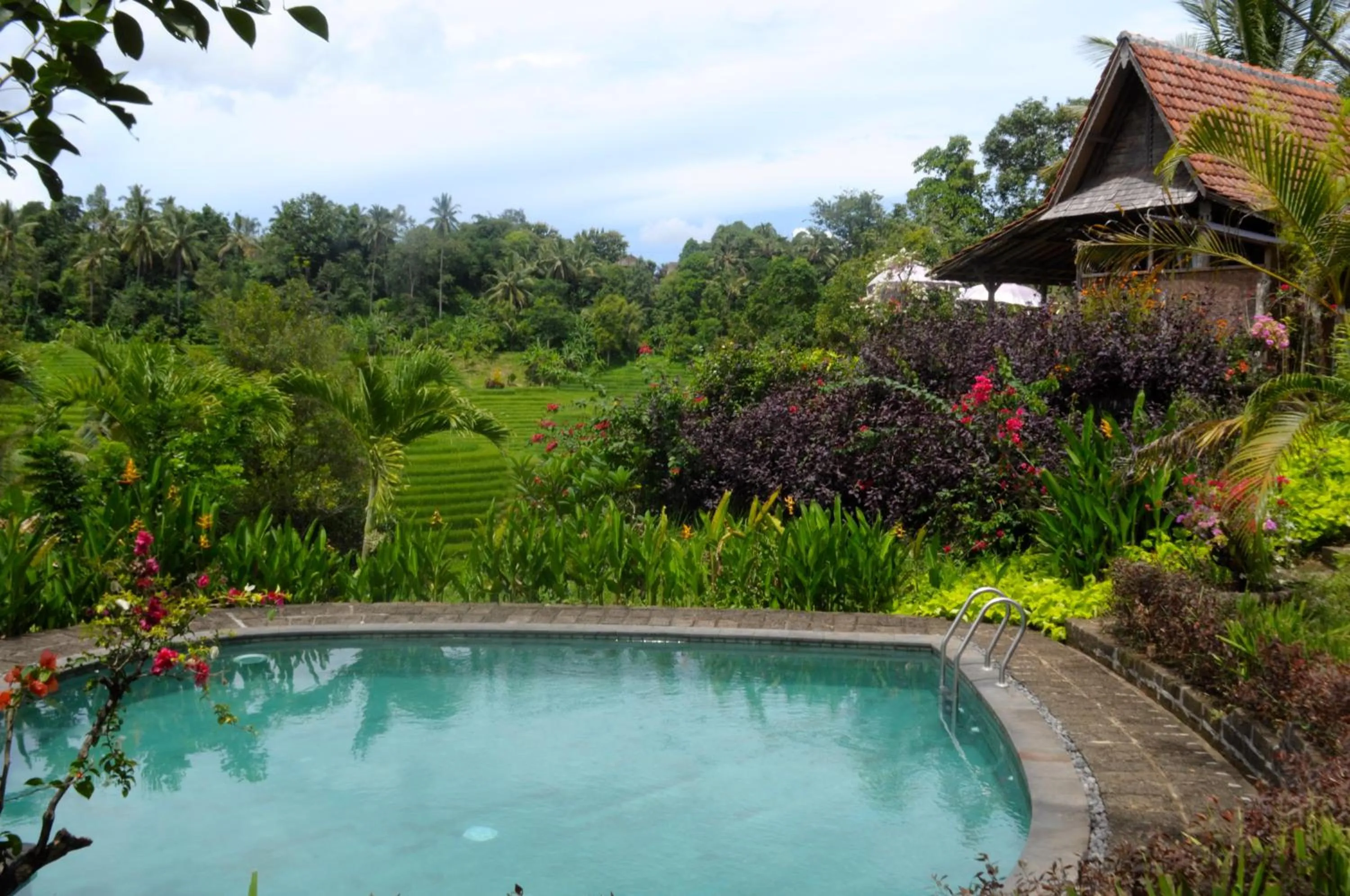 Garden view in Bali Lush