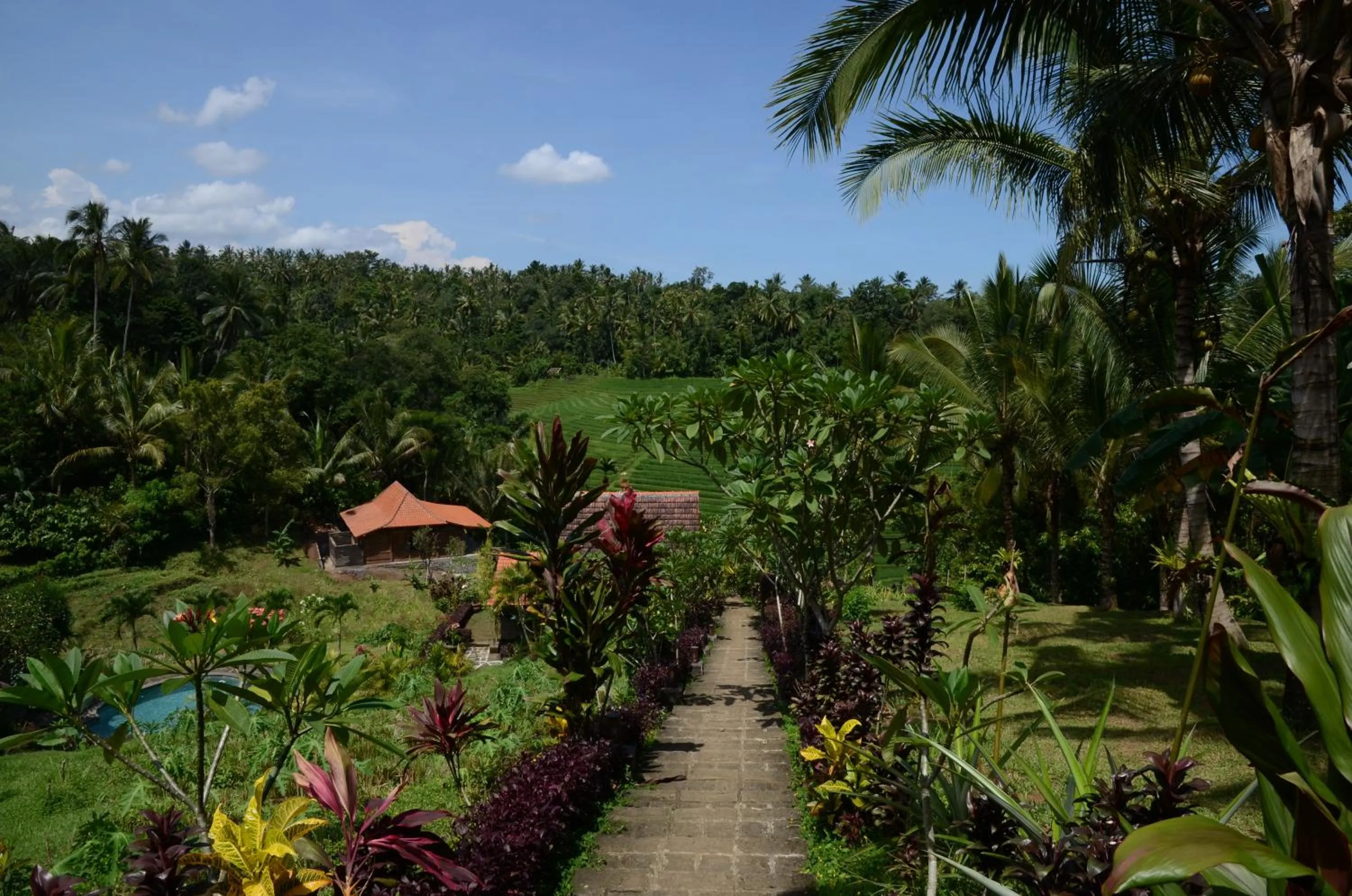 Nearby landmark in Bali Lush