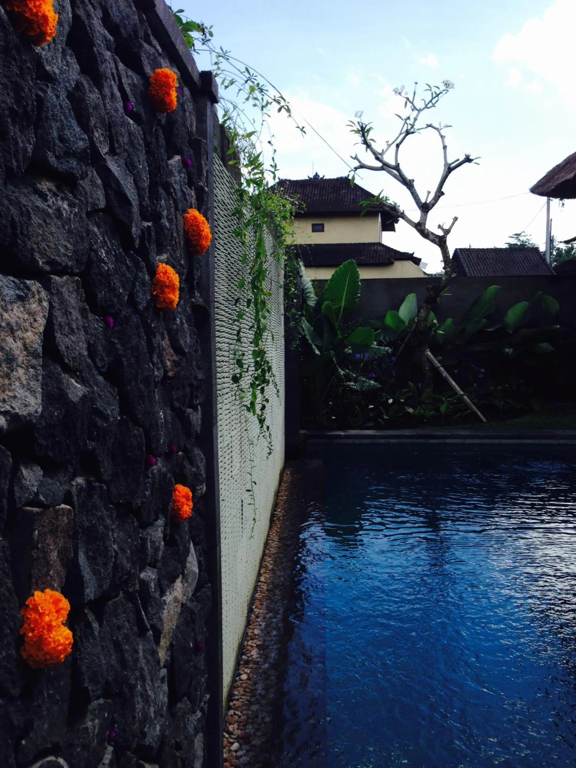 Natural landscape in Rumah Dadong