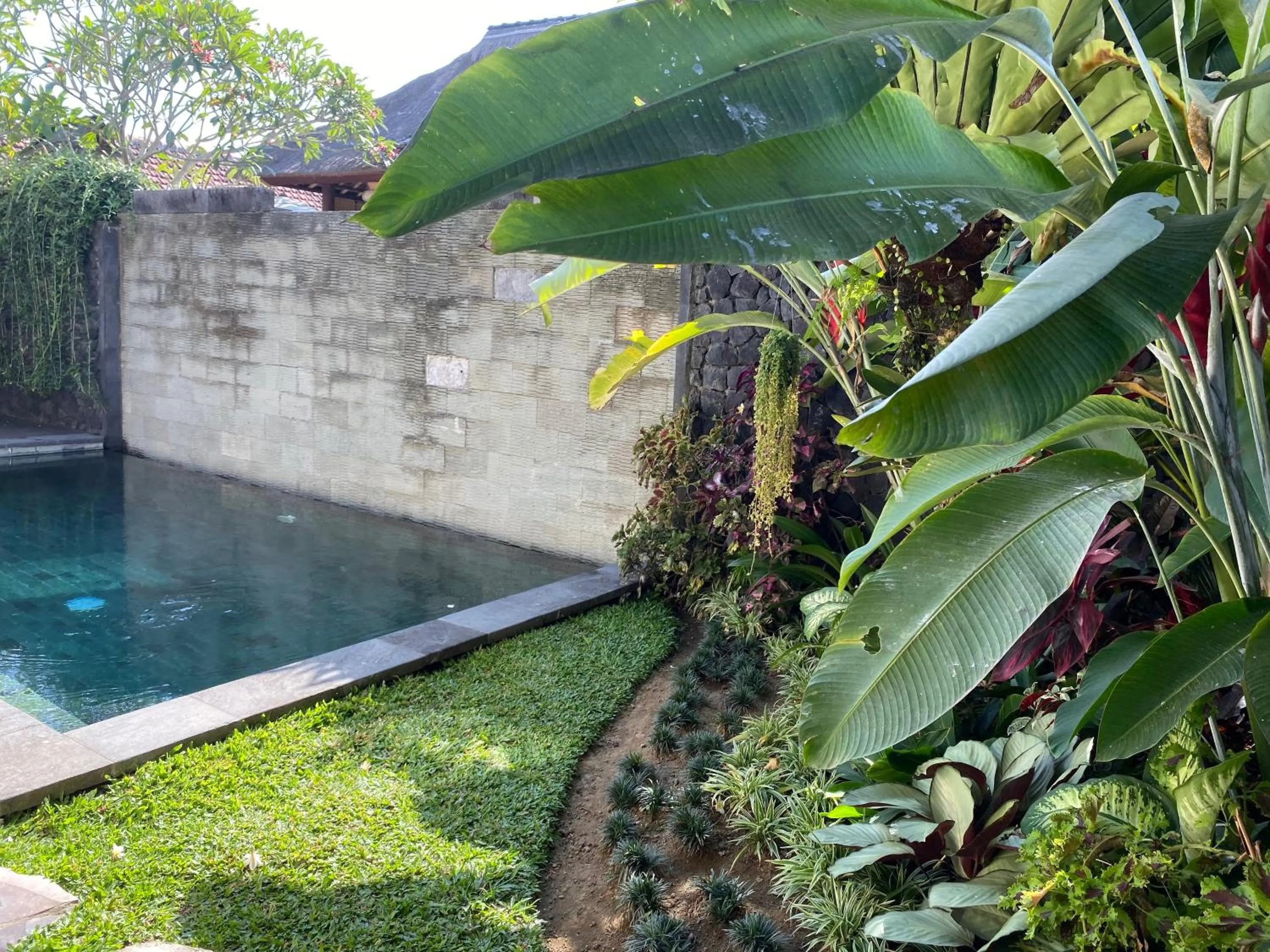 Garden in Rumah Dadong