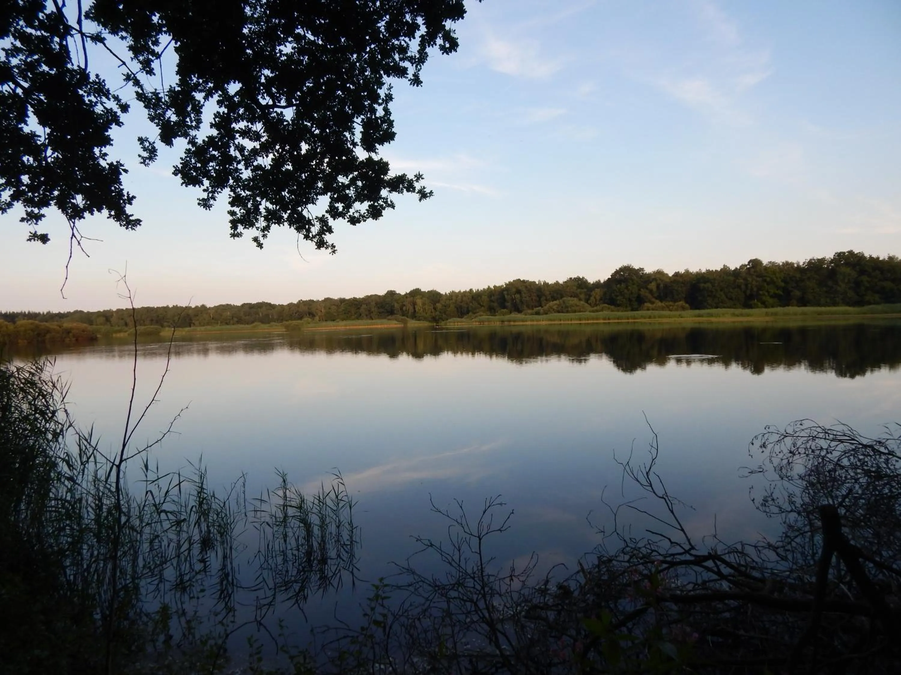 Natural landscape in Hotel garni Haaster Krug Otte