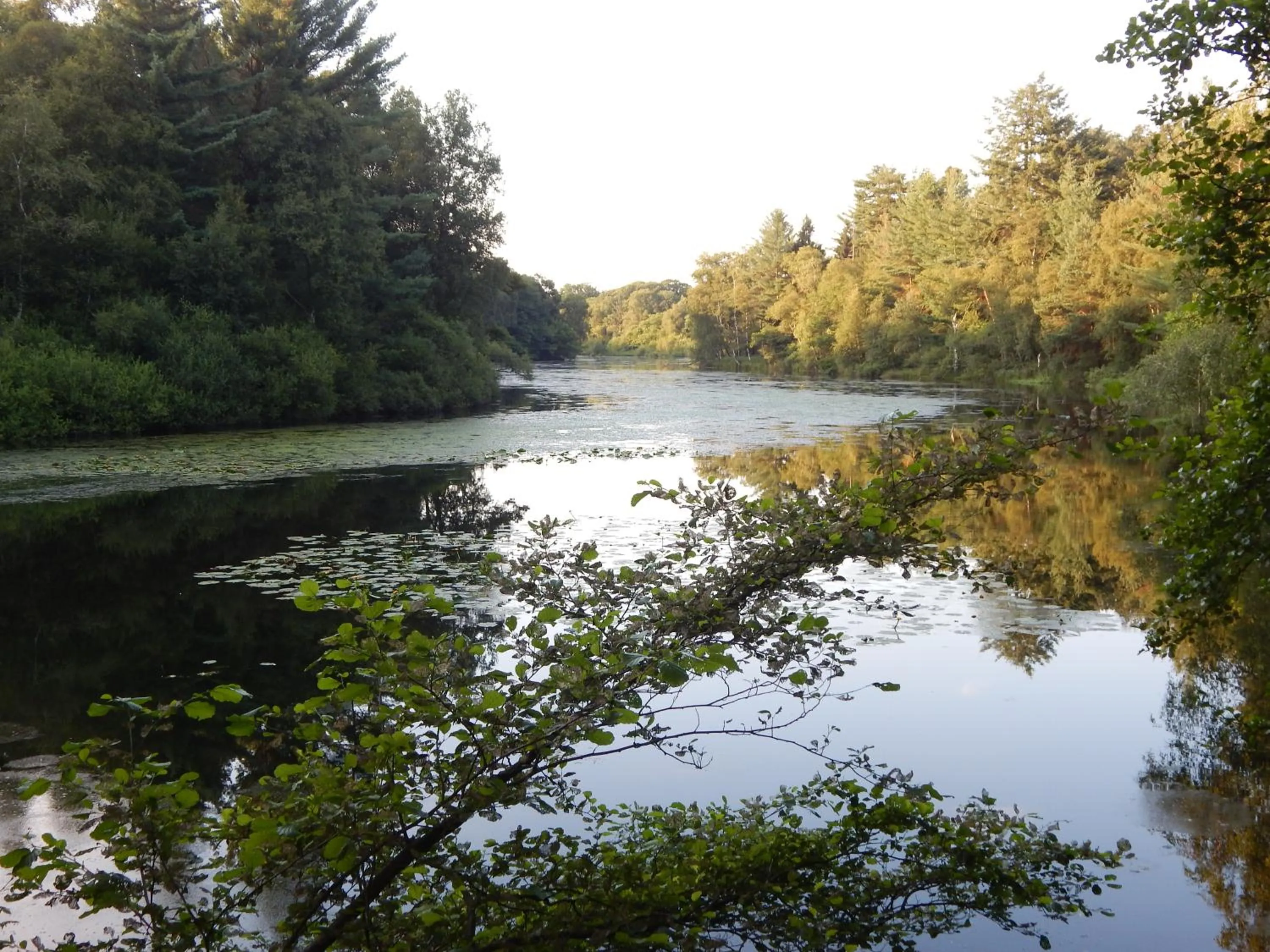 Natural landscape in Hotel garni Haaster Krug Otte
